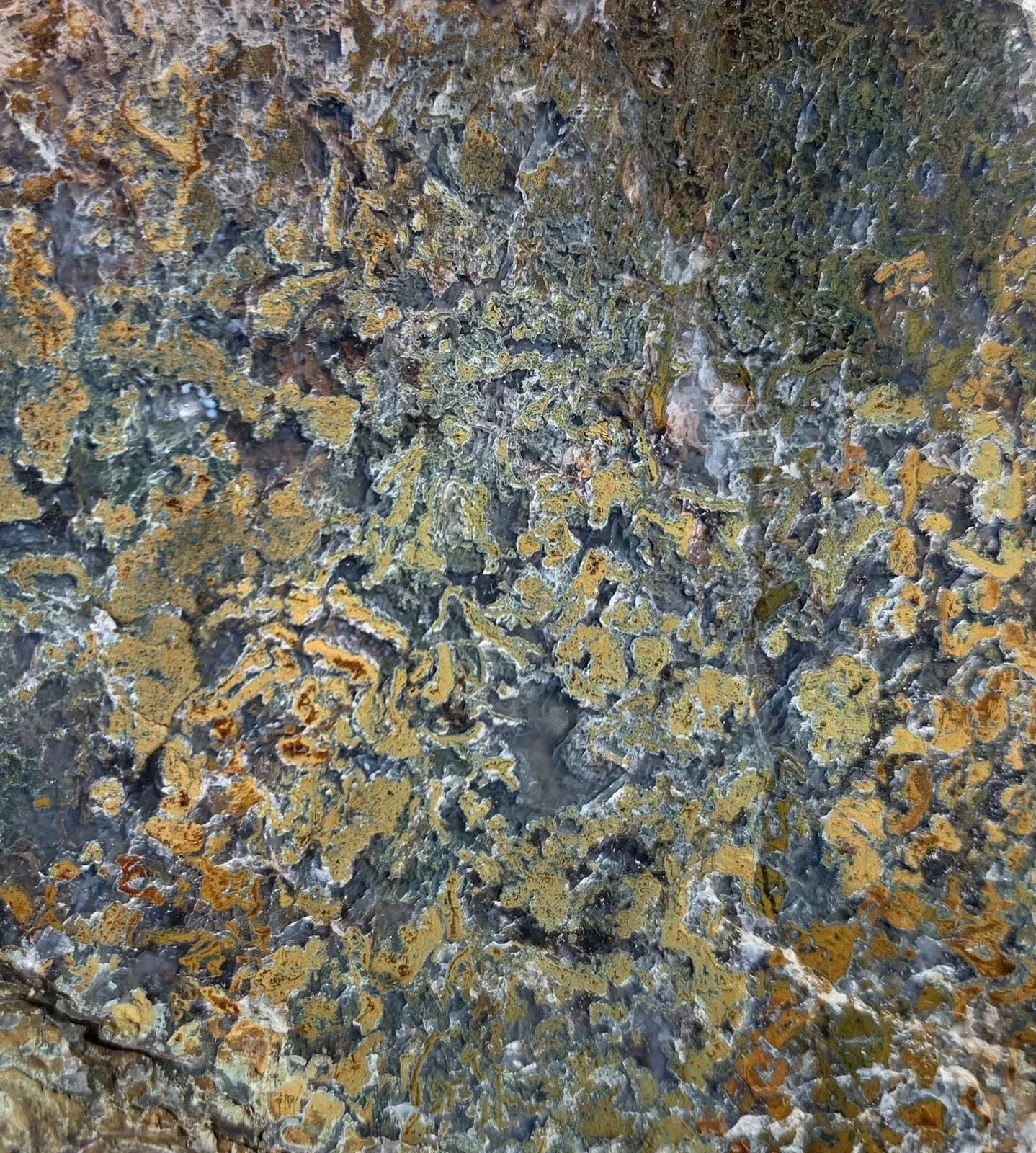 Polished Yellow Green Moss Agate from Indonesia, Slab, Slice