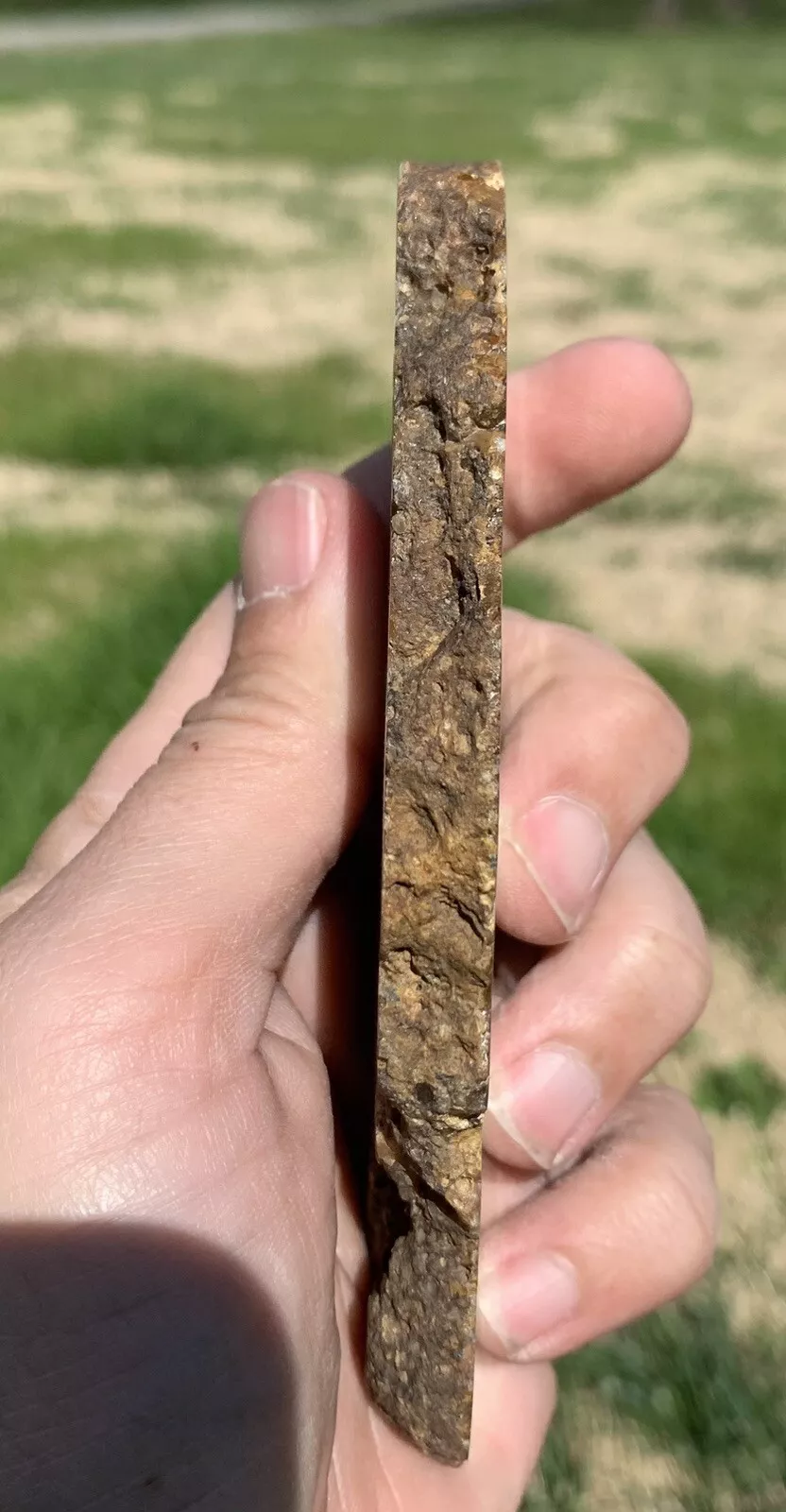 Polished Brown Plume Agate from Indonesia, Slab, Slice