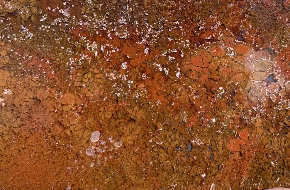 Polished Red Plume Agate from Indonesia, Slab, Slice