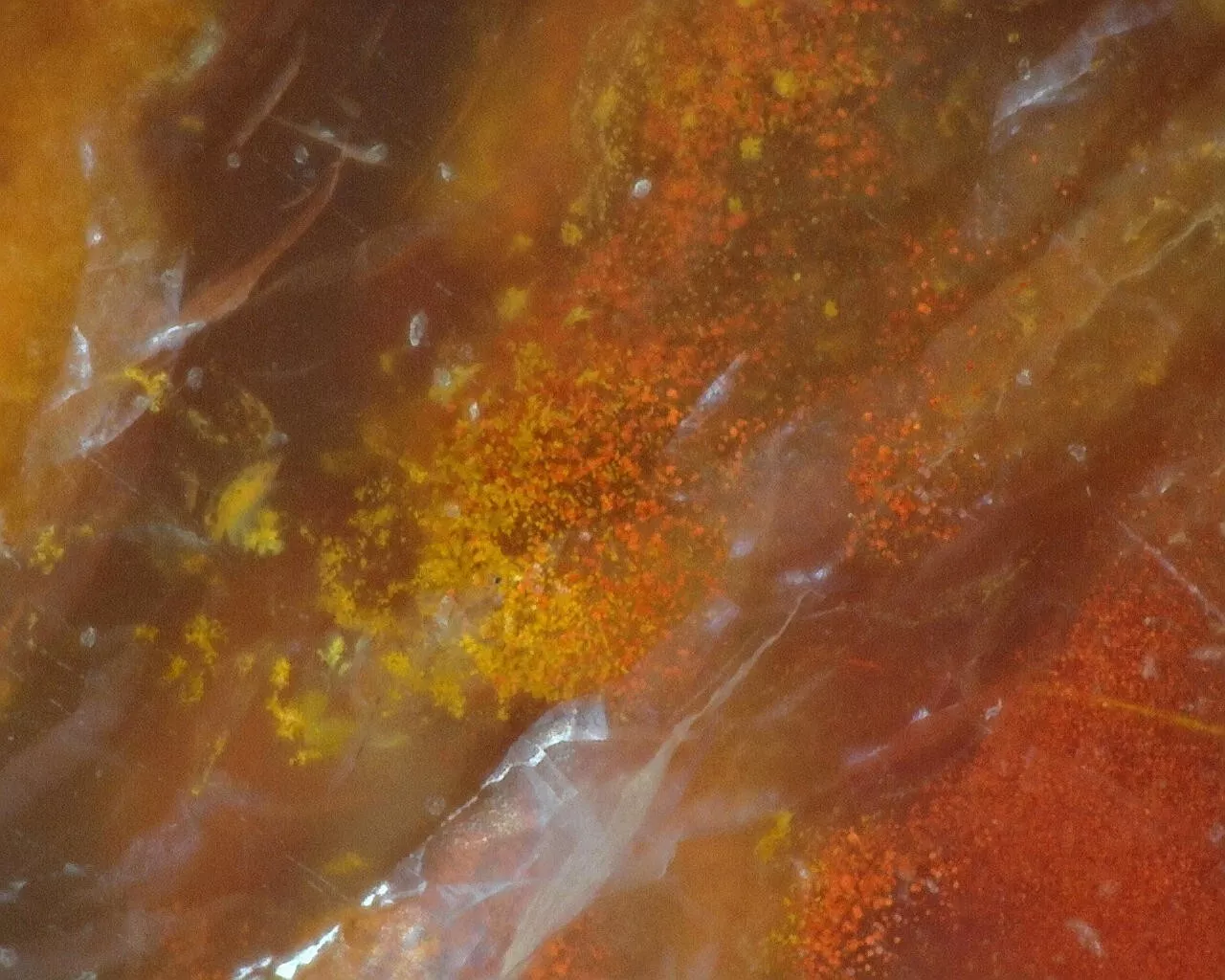 Polished Red Plume Agate from Indonesia, Slab, Slice