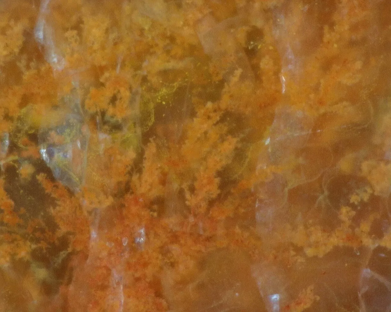 Polished Red Plume Agate from Indonesia, Slab, Slice