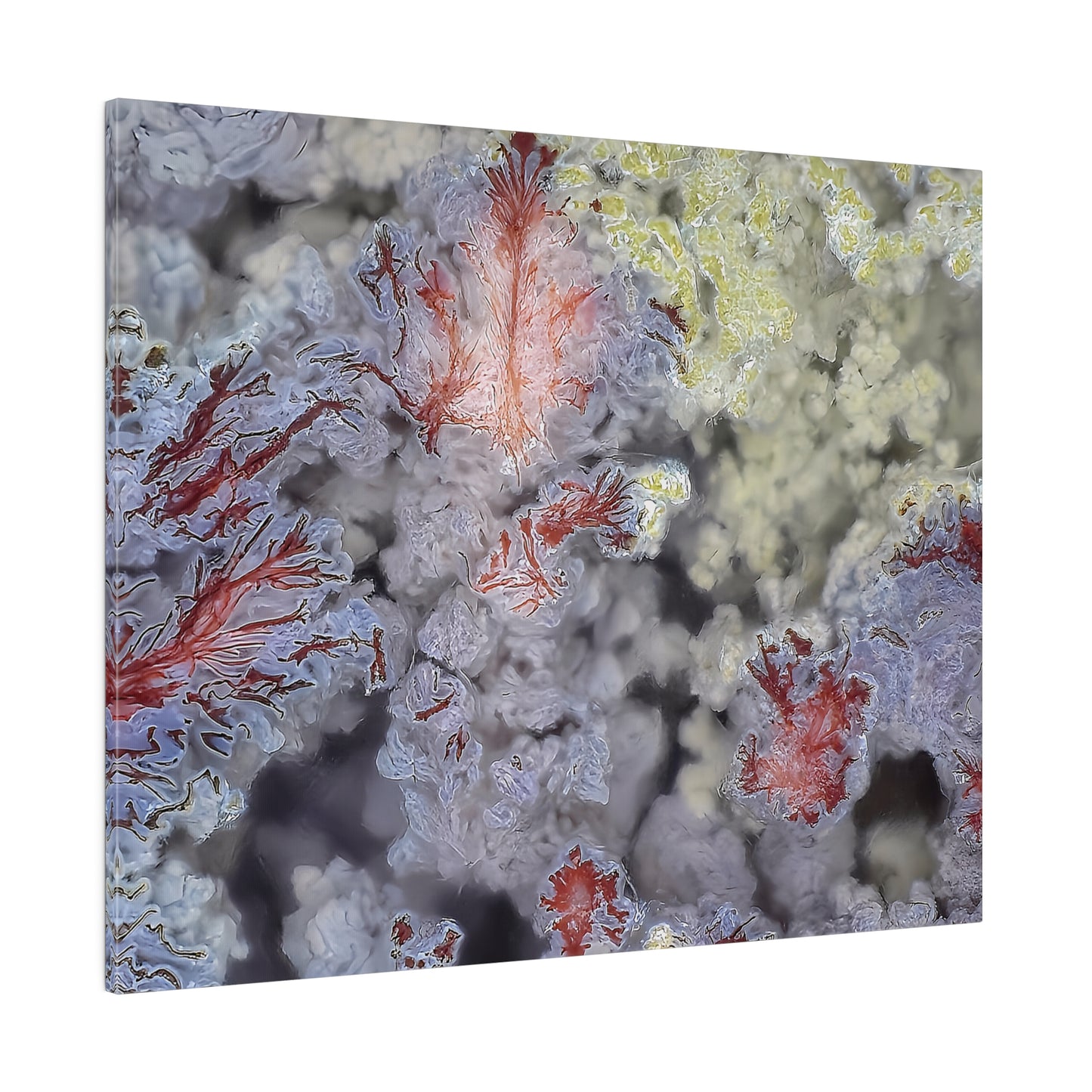 Scenic Moss Agate Canvas Print Wall Art Décor