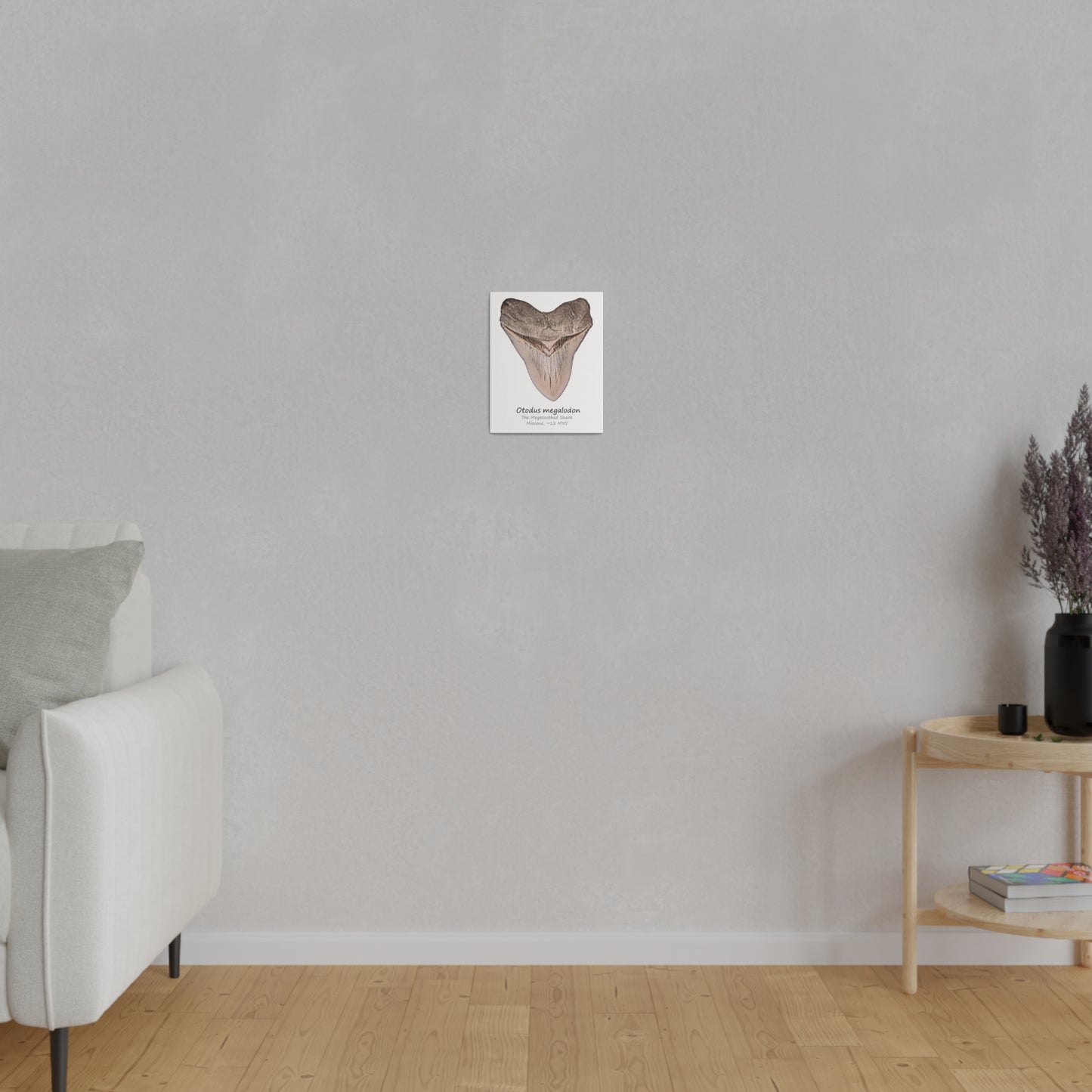 Otodus megalodon Canvas Print Wall Art Décor