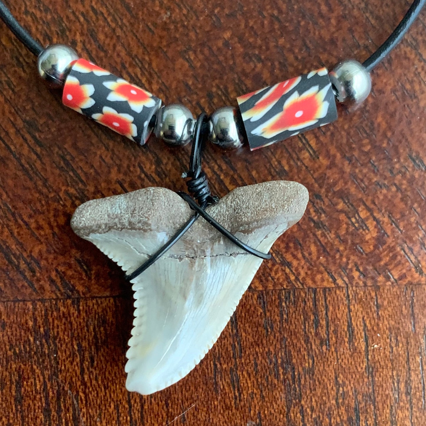 Real fossil Hemipristis serra, snaggle shark tooth necklace on black cord, shark tooth pendant