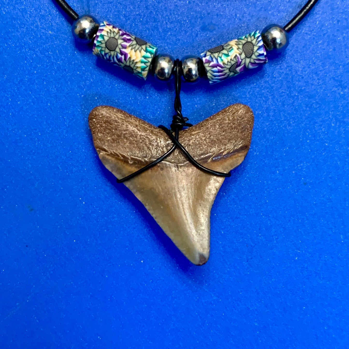 Real fossil megalodon shark tooth necklace on black cord, shark tooth pendant