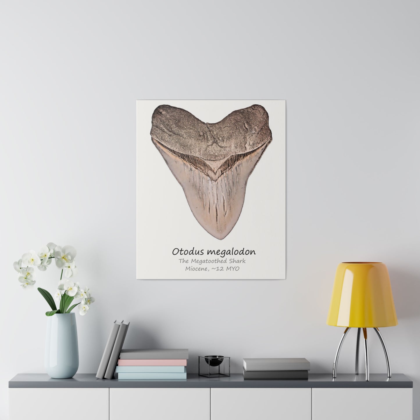 Otodus megalodon Canvas Print Wall Art Décor