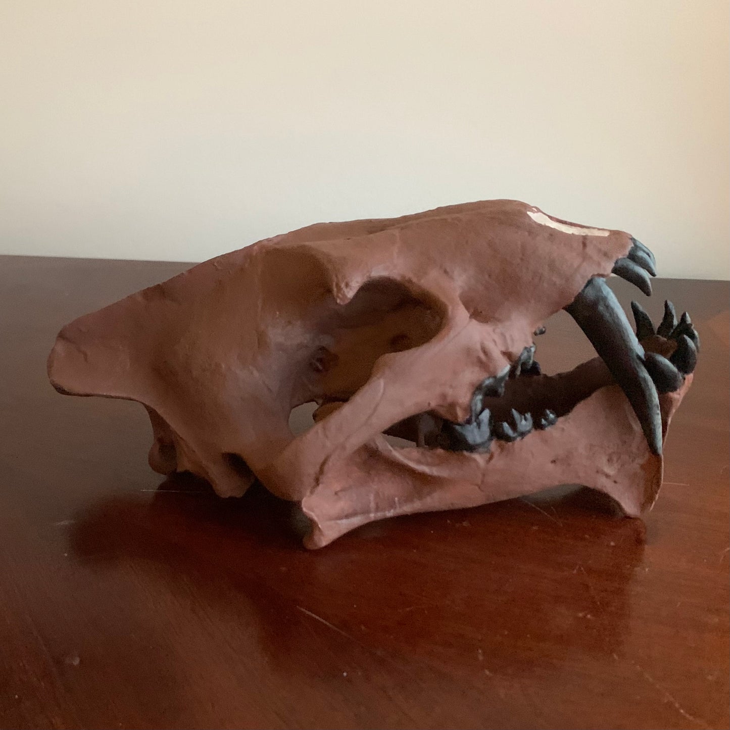 Brown Saber Tooth Cat Fossil Animal Skull Replica Hoplophoneus primaevus - STEM, Fossil Skull Decor, Creepy Home Decor, Gothic Decor