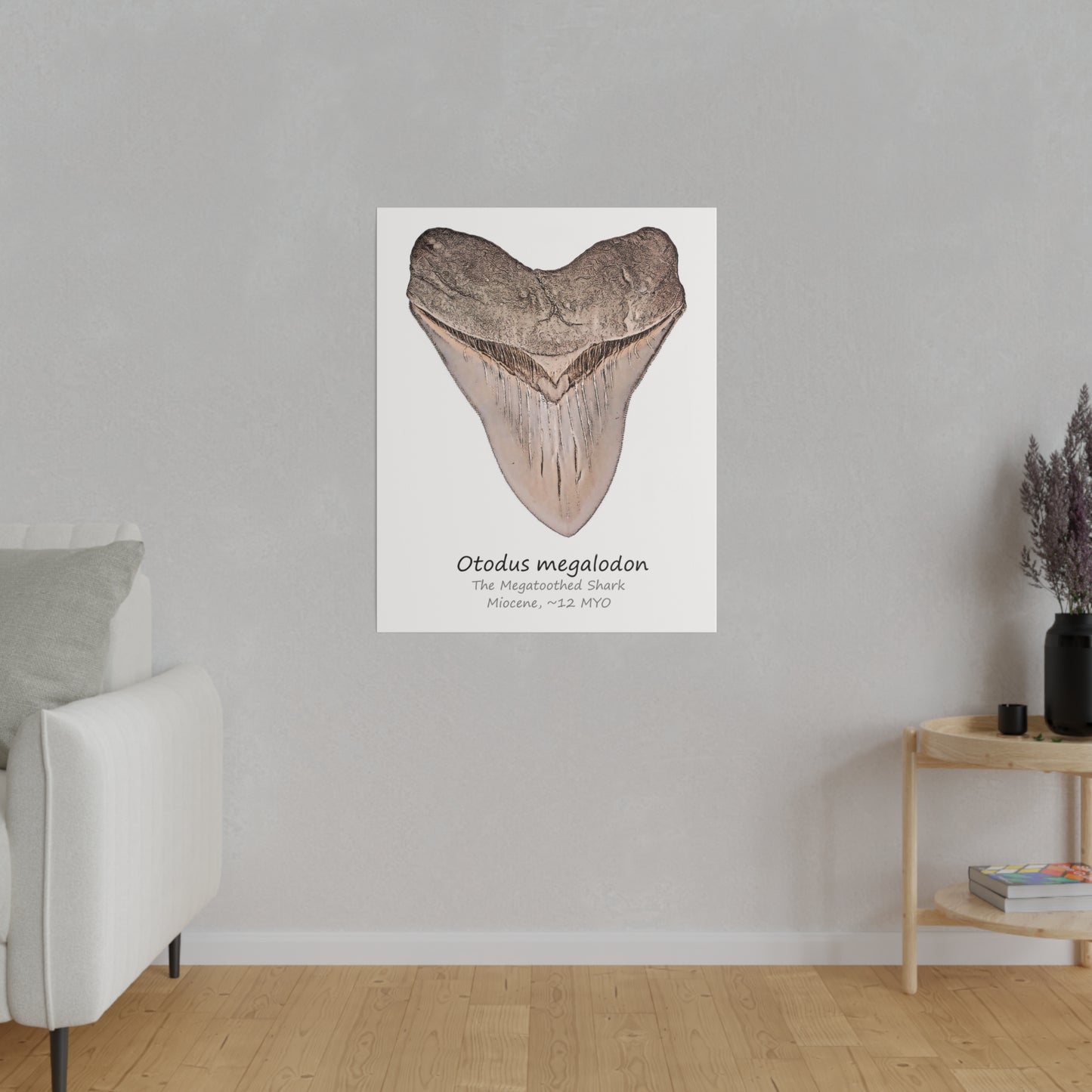 Otodus megalodon Canvas Print Wall Art Décor