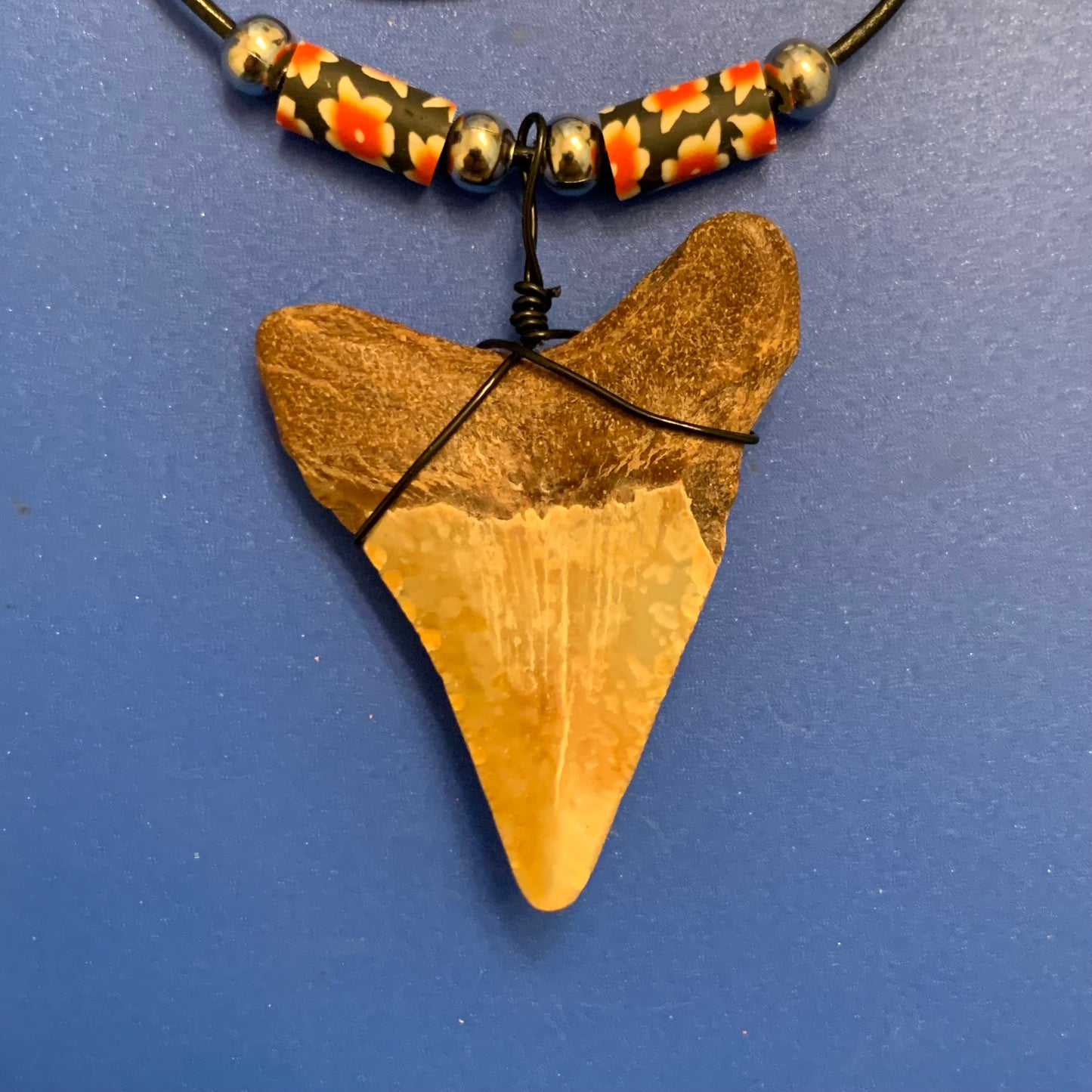Real fossil megalodon shark tooth necklace on black cord, shark tooth pendant