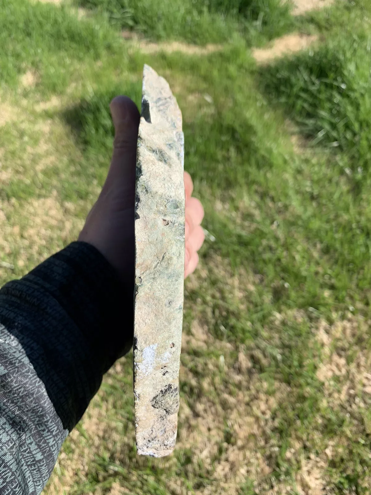 Polished Petrified Fossil Wood from Indonesia, Slab, Slice