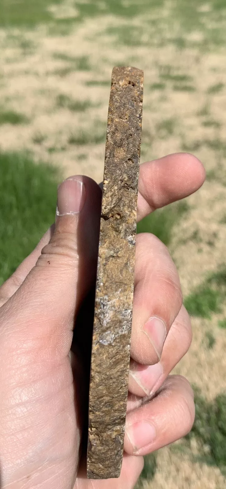 Polished Brown Plume Agate from Indonesia, Slab, Slice