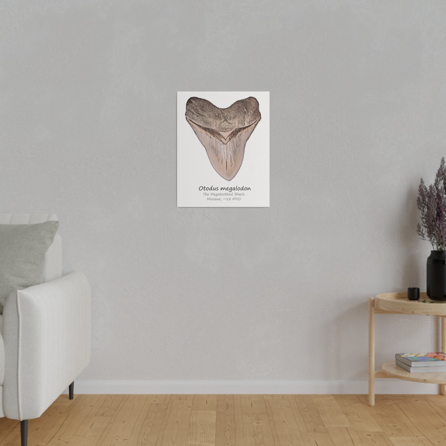 Otodus megalodon Canvas Print Wall Art Décor