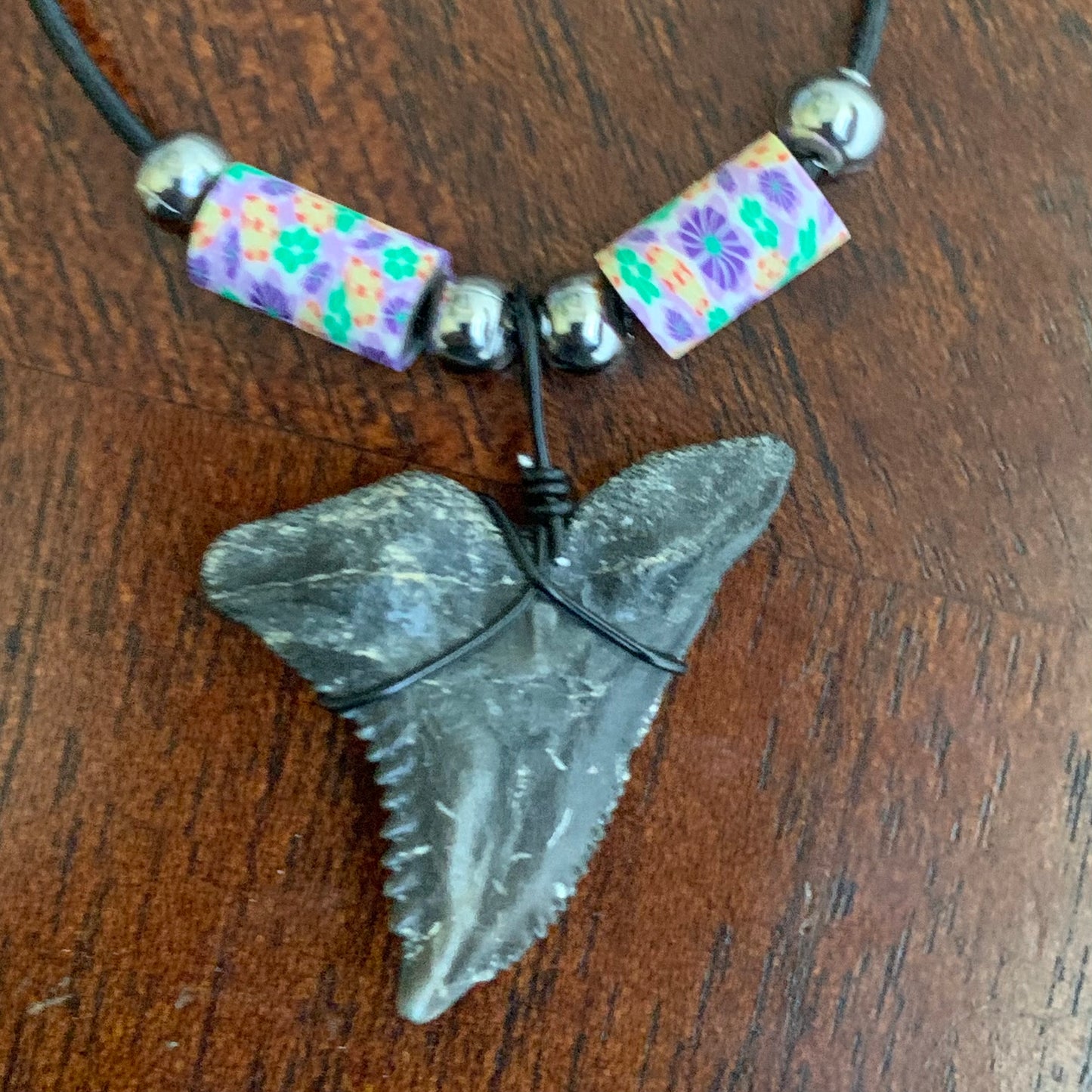Real fossil Hemipristis serra, snaggle shark tooth necklace on black cord, shark tooth pendant
