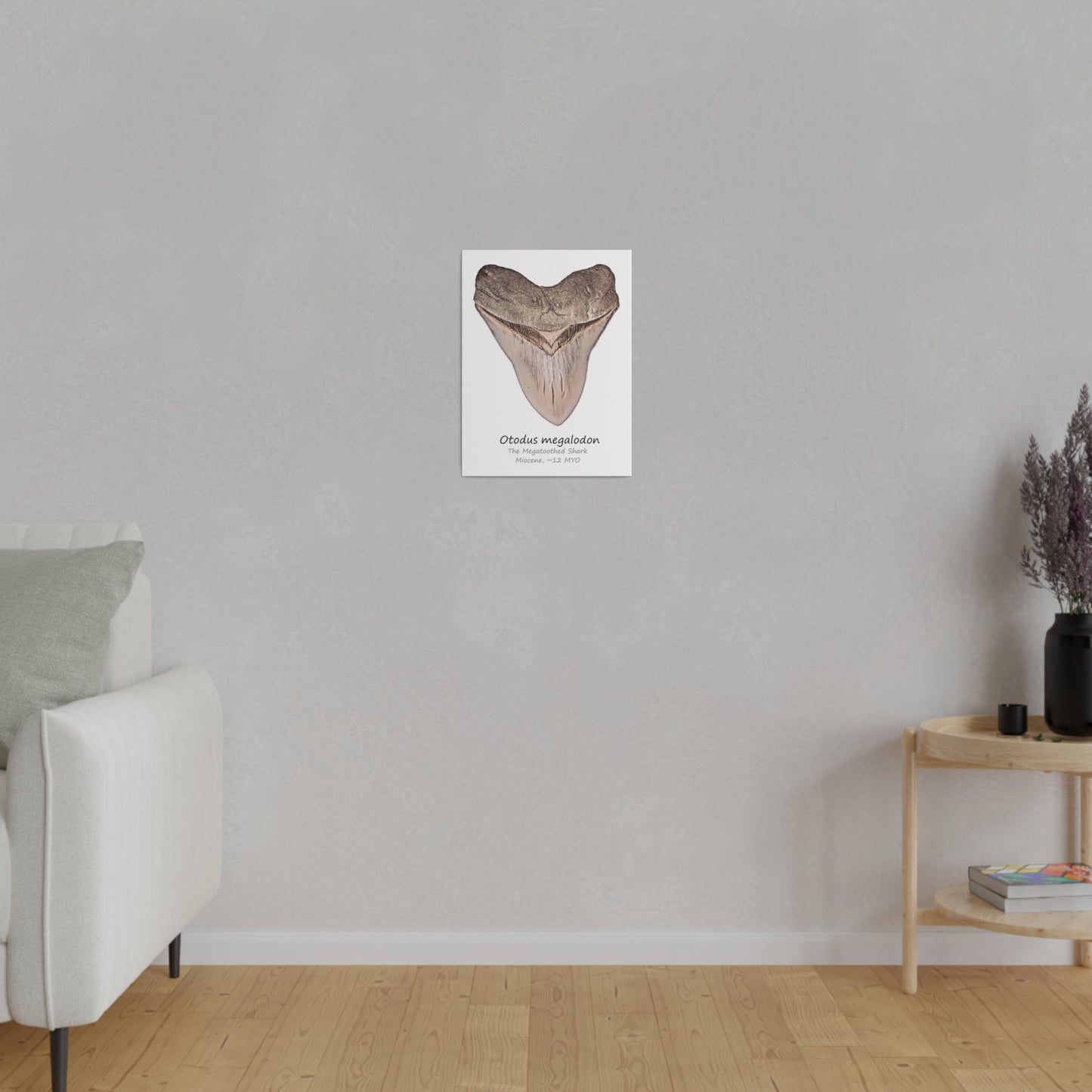 Otodus megalodon Canvas Print Wall Art Décor