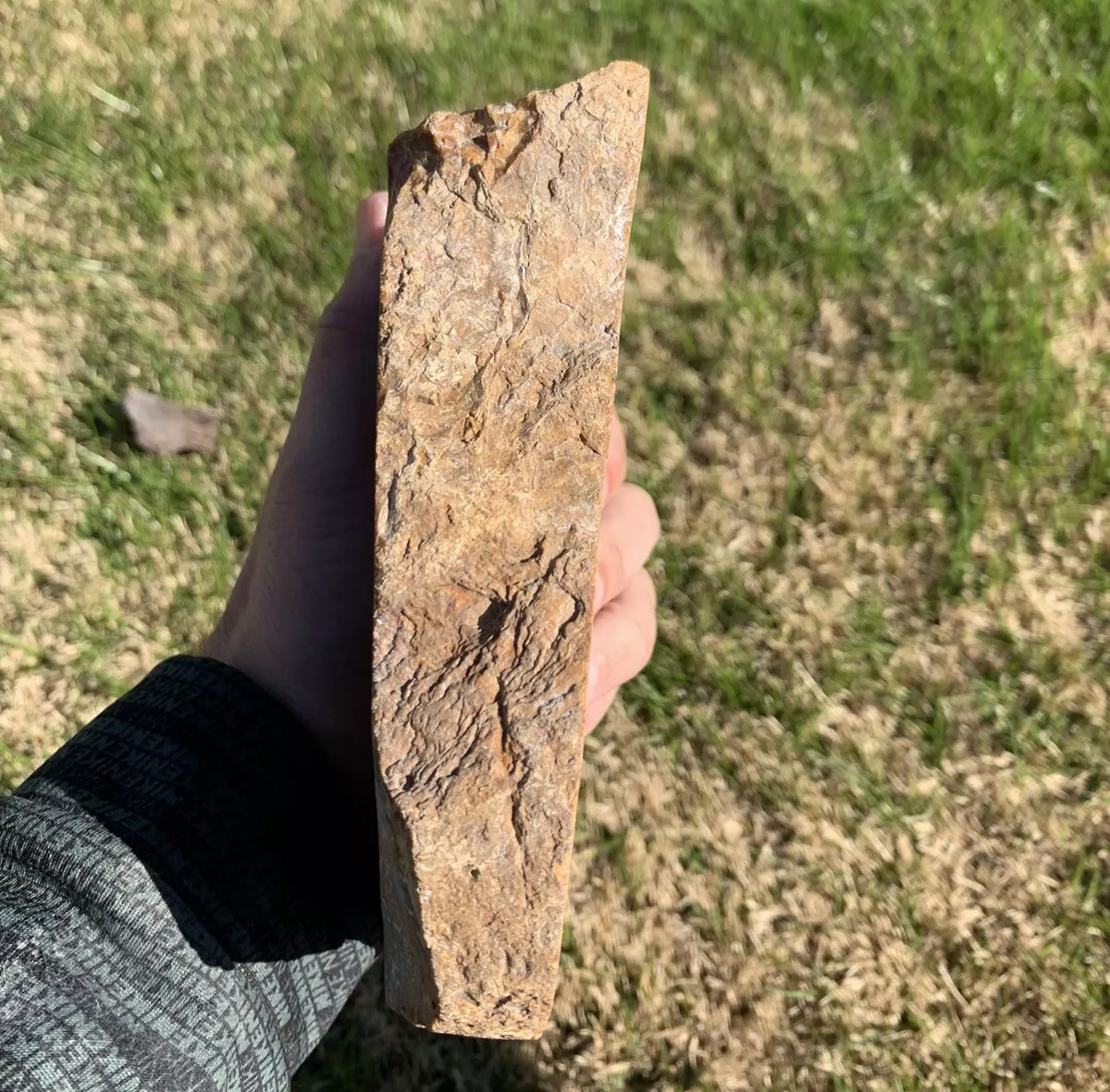 Extremely Colorful Polished Petrified Wood From Indonesia