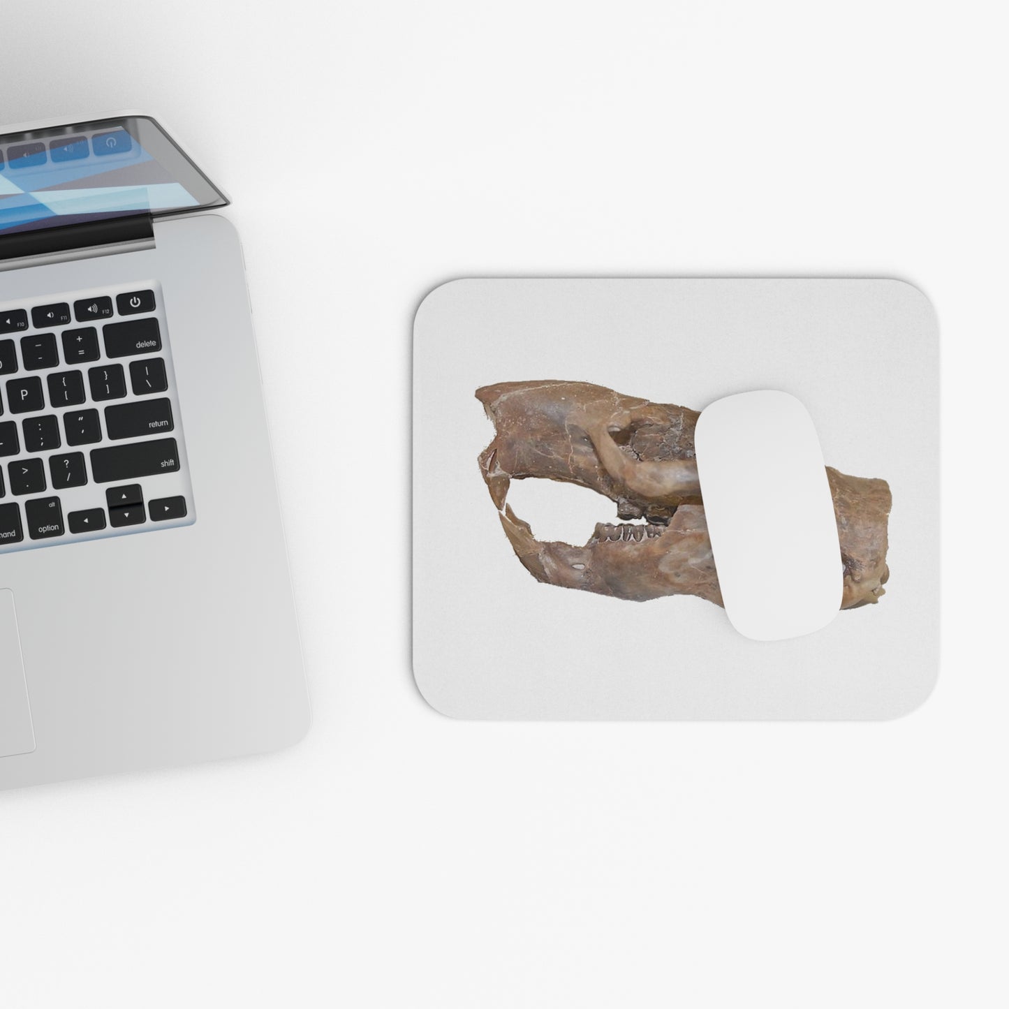Fossil Skull Themed Mouse Pad - Squirrel - Ischyromys