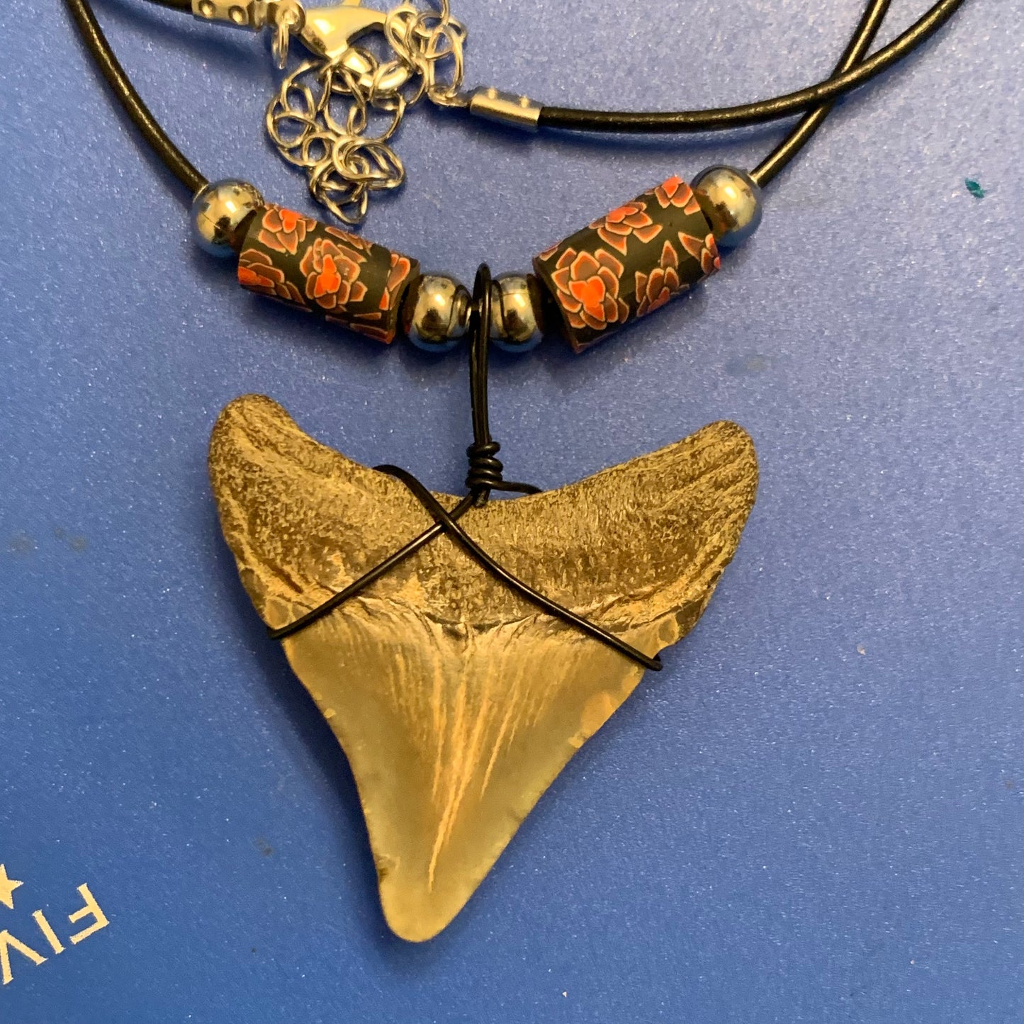 Real fossil megalodon shark tooth necklace on black cord, shark tooth pendant