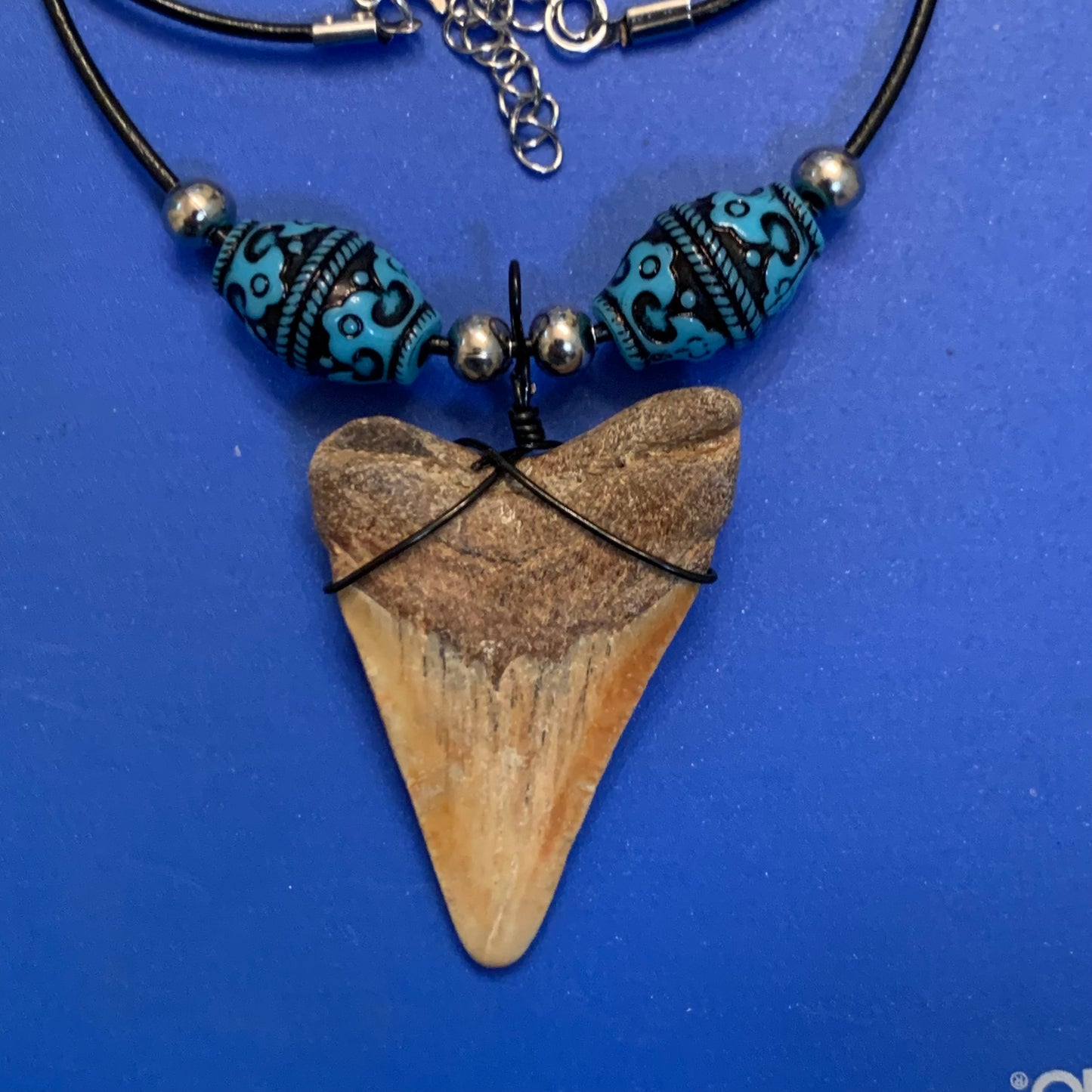 Real fossil megalodon shark tooth necklace on black cord, shark tooth pendant