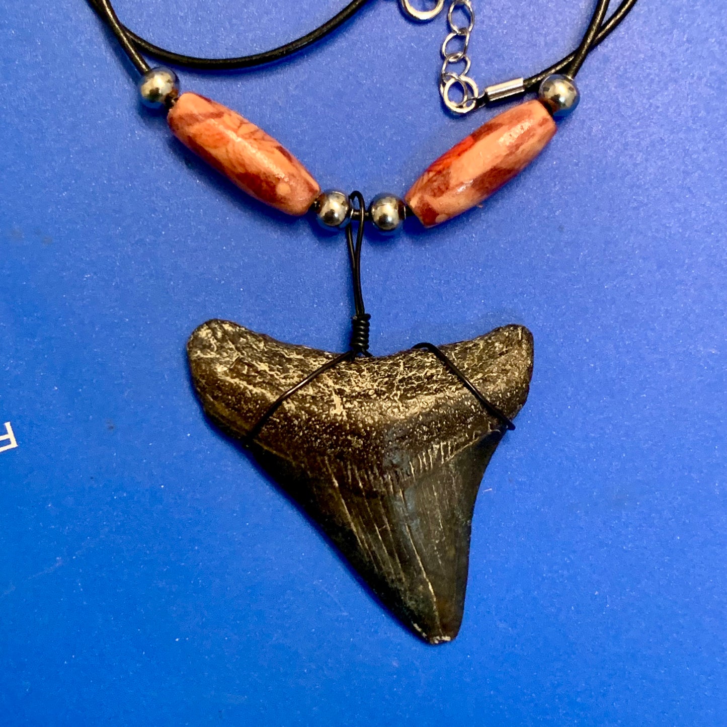 Real shark tooth necklace made from a fossil megalodon shark tooth pendant wrapped with black wire, hung on a black cotton cord with colorful beads