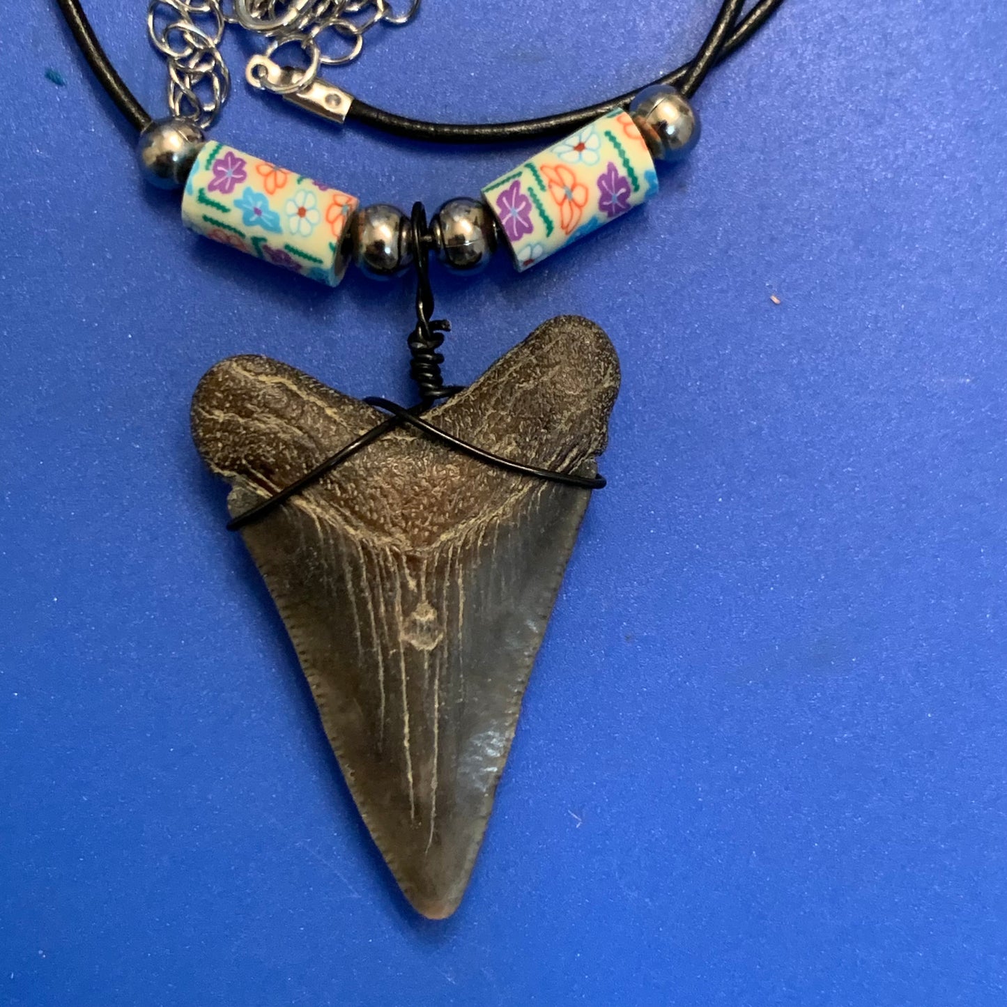 Real fossil megalodon shark tooth necklace on black cord, shark tooth pendant