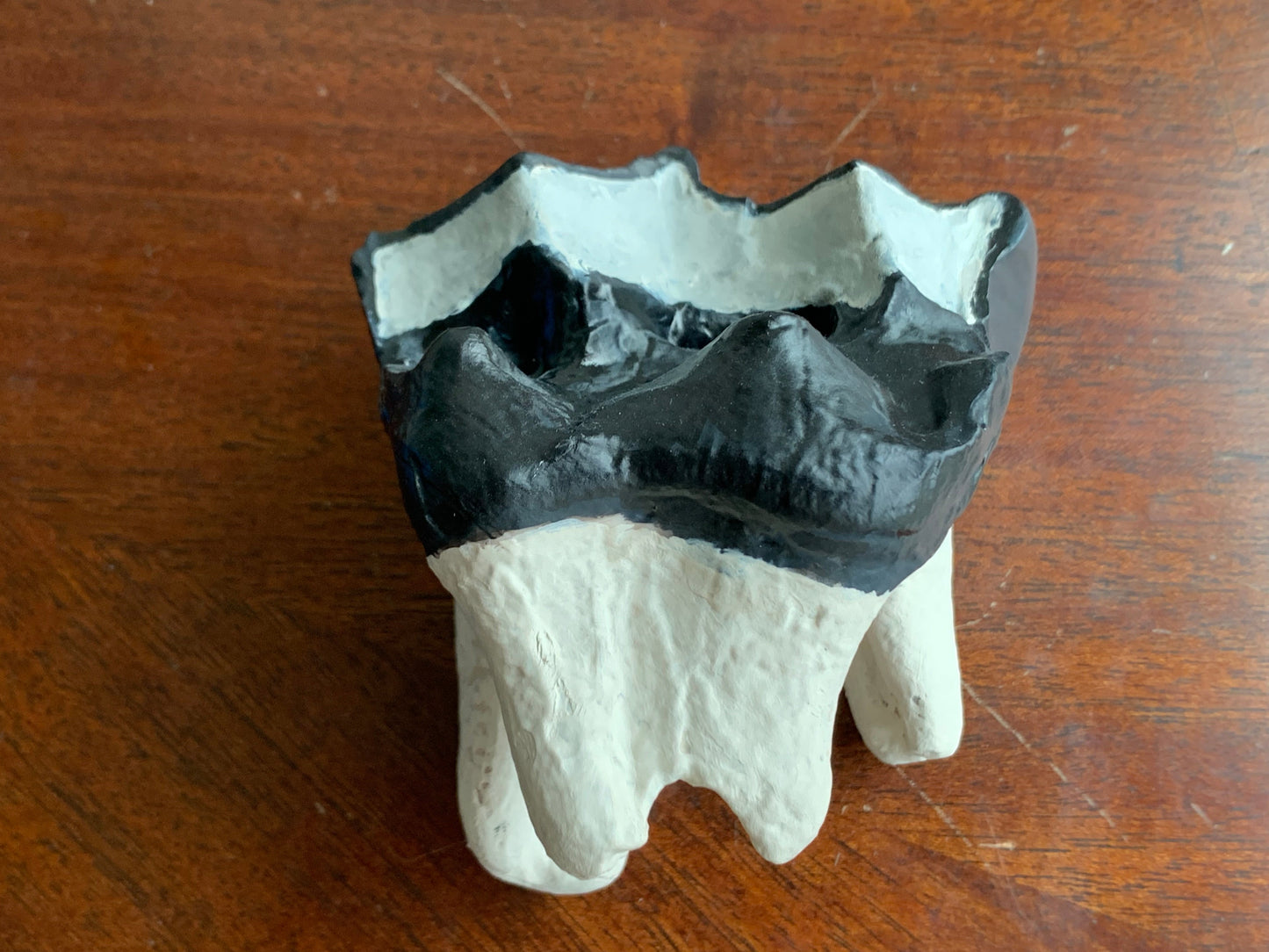 Titanothere toothupper molar