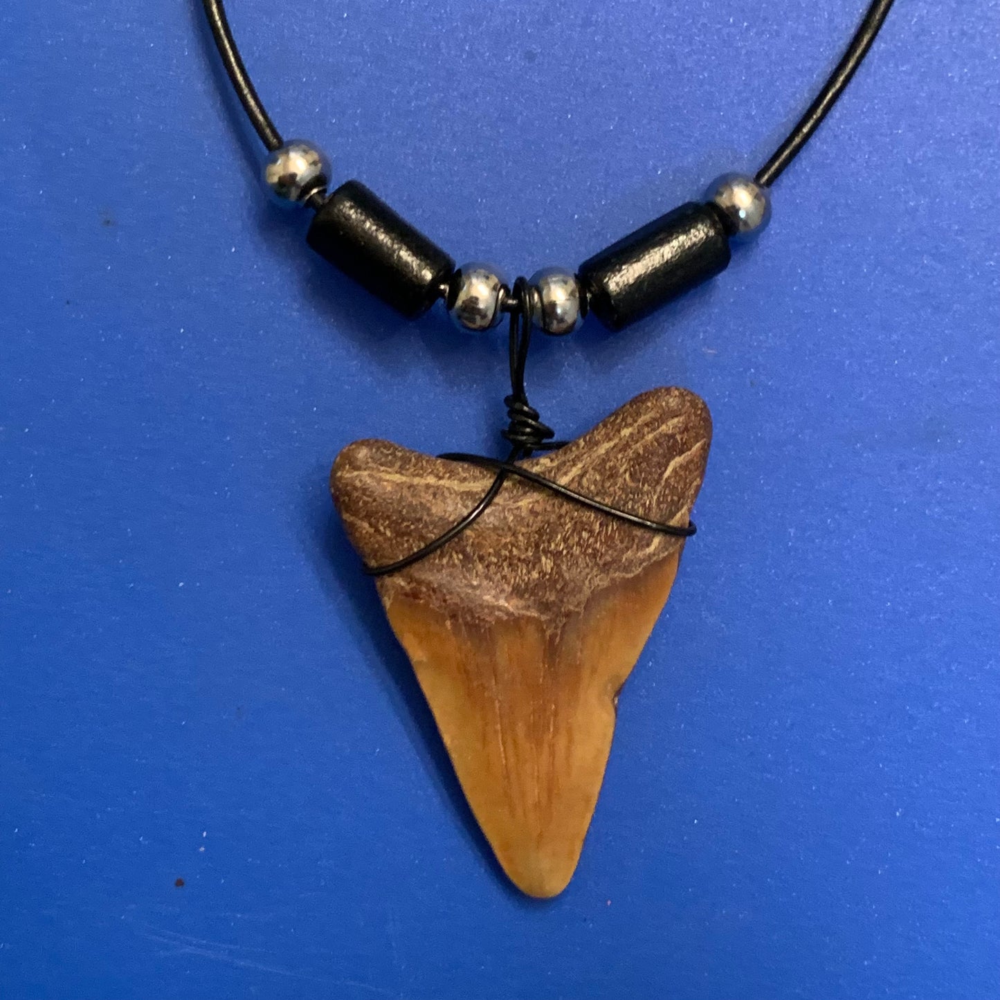 Real fossil megalodon shark tooth necklace on black cord, shark tooth pendant