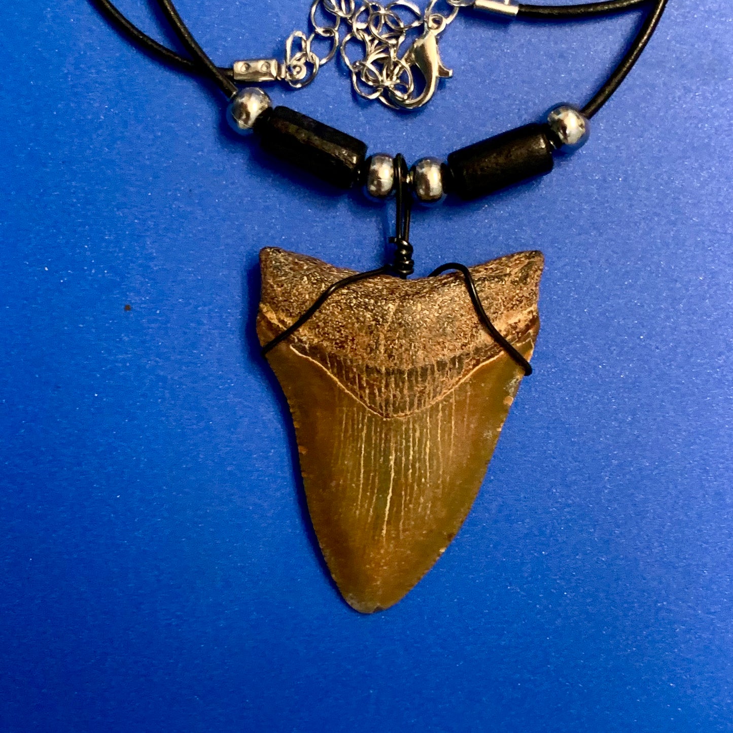 Real shark tooth necklace made from a fossil megalodon shark tooth pendant wrapped with black wire, hung on a black cotton cord with colorful beads