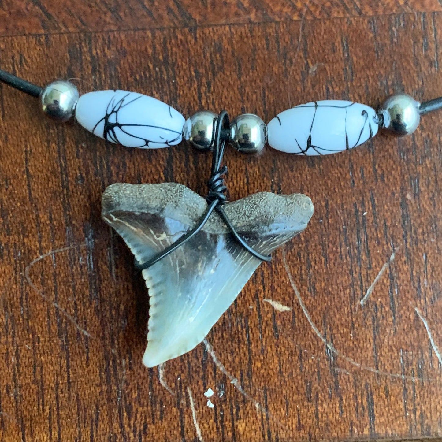 Real fossil Hemipristis serra, snaggle shark tooth necklace on black cord, shark tooth pendant