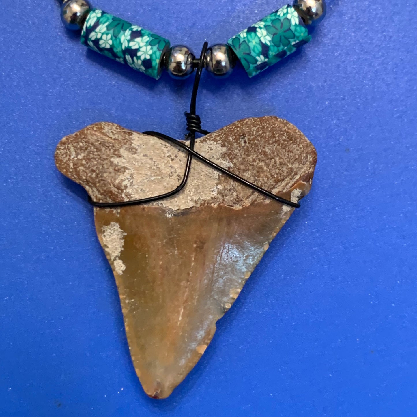 Real fossil megalodon shark tooth necklace on black cord, shark tooth pendant
