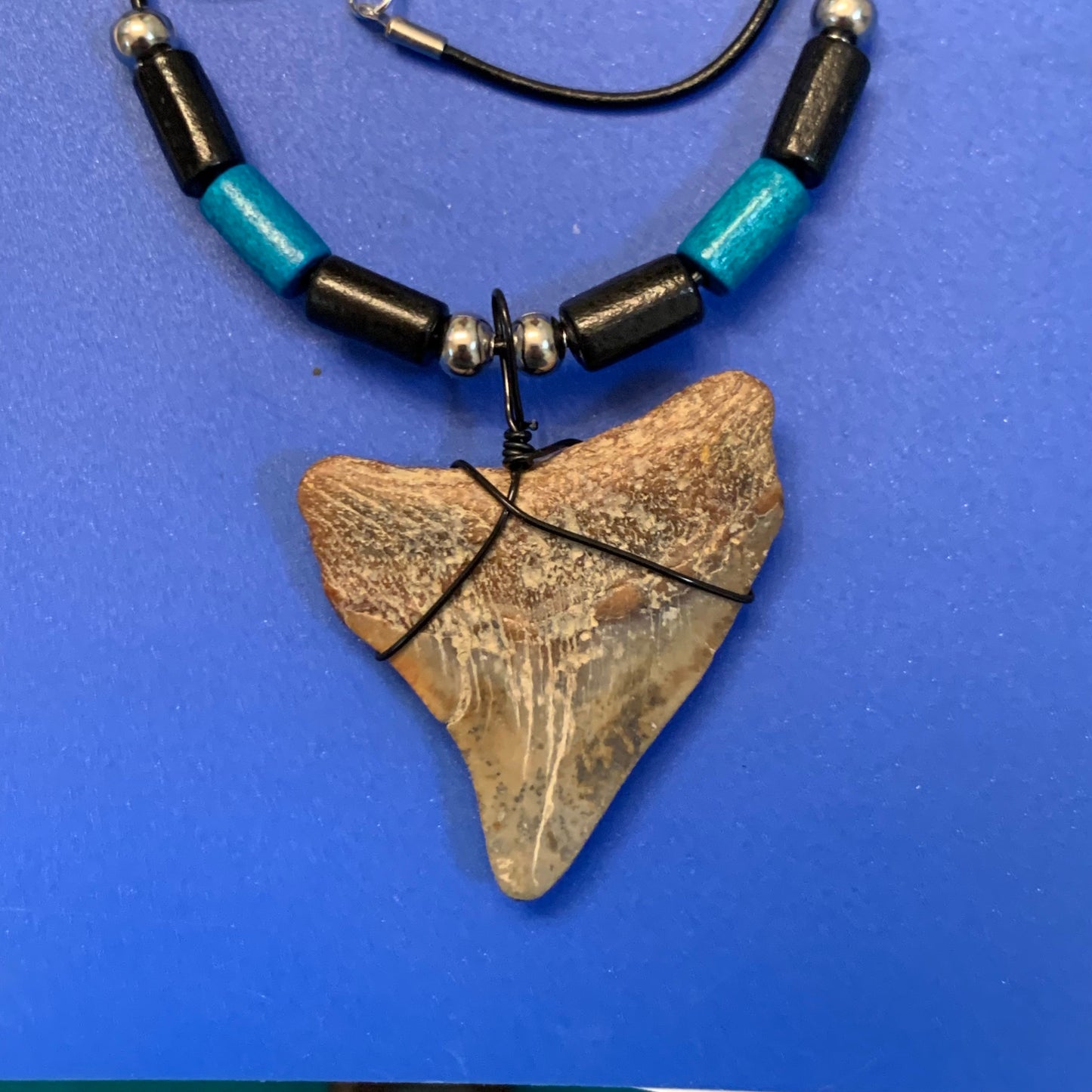 Real fossil megalodon shark tooth necklace on black cord, shark tooth pendant