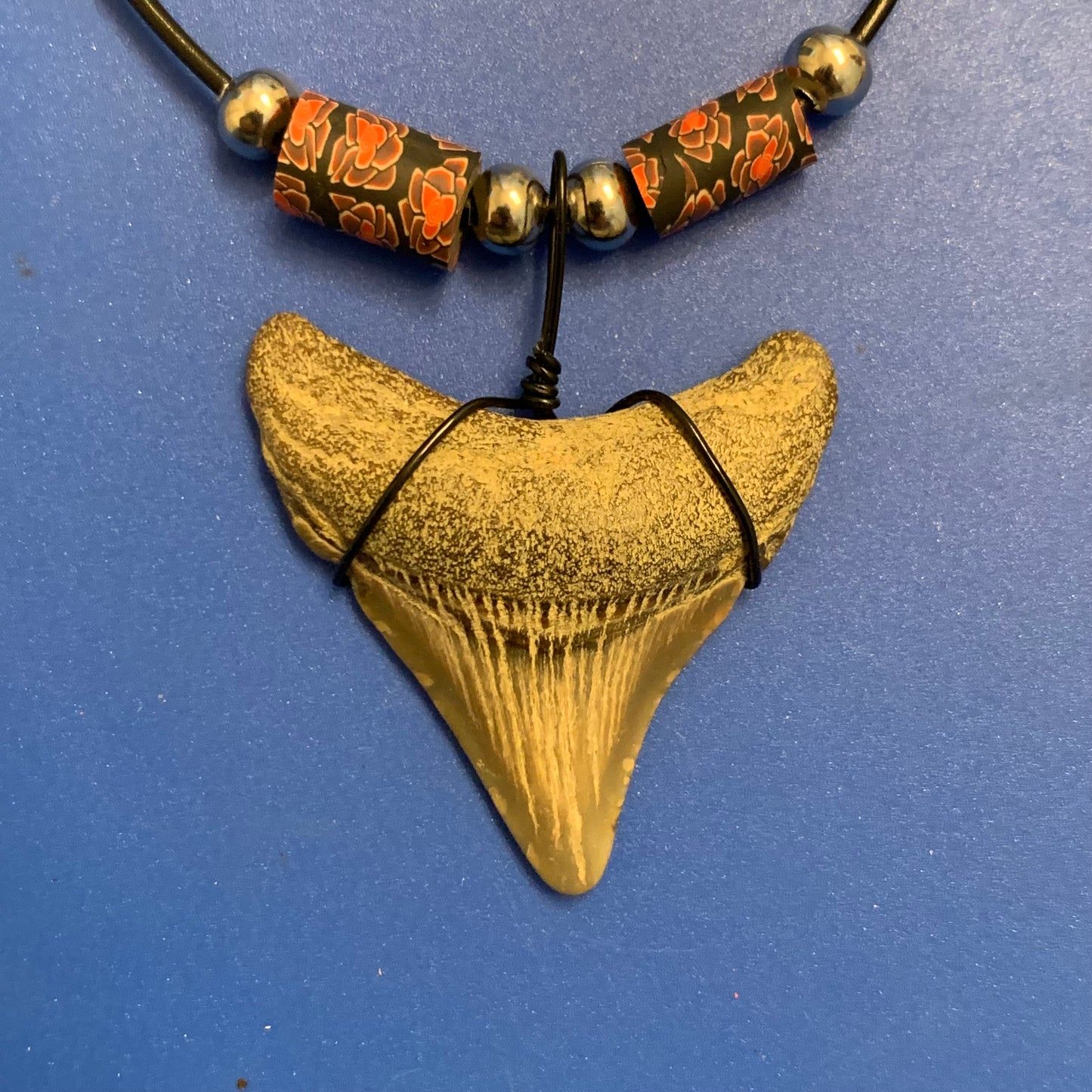 Real shark tooth necklace made from a fossil megalodon shark tooth pendant wrapped with black wire, hung on a black cotton cord with colorful beads