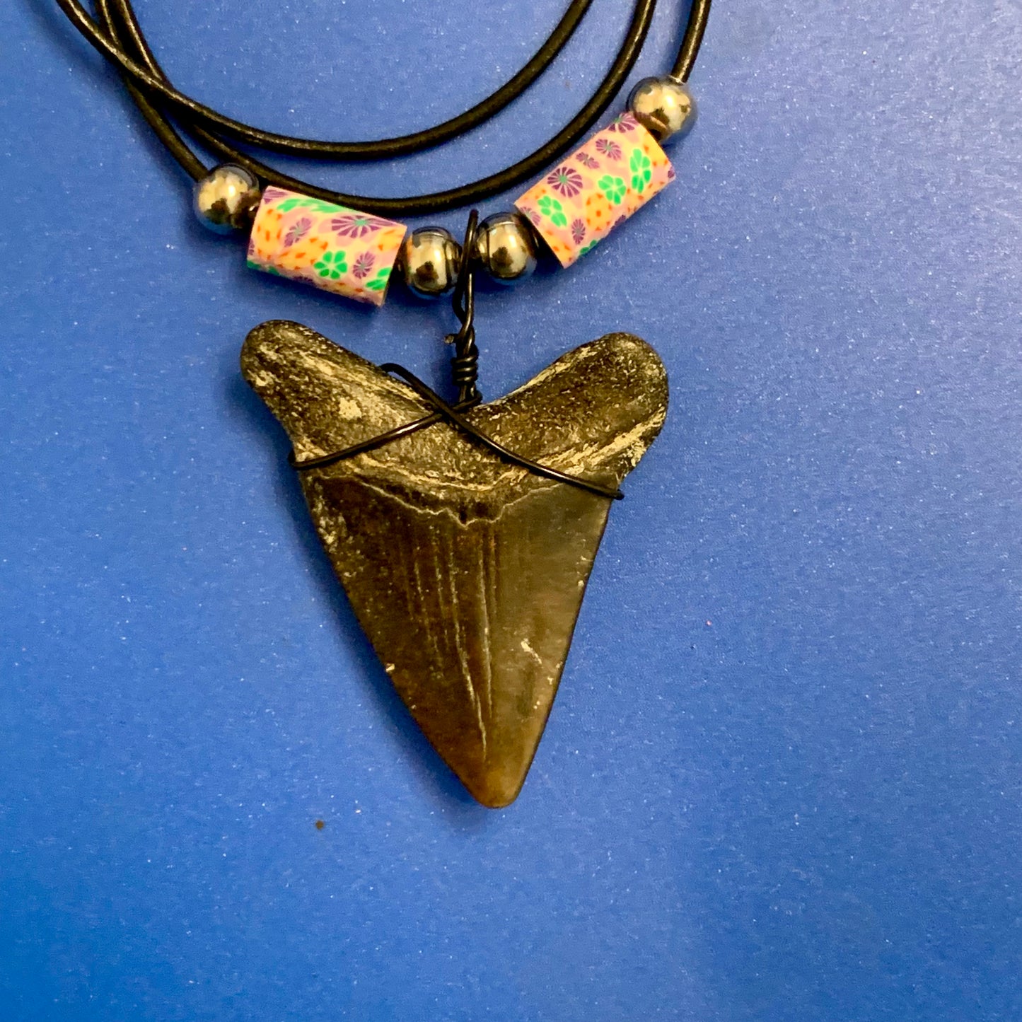 Real fossil megalodon shark tooth necklace on black cord, shark tooth pendant