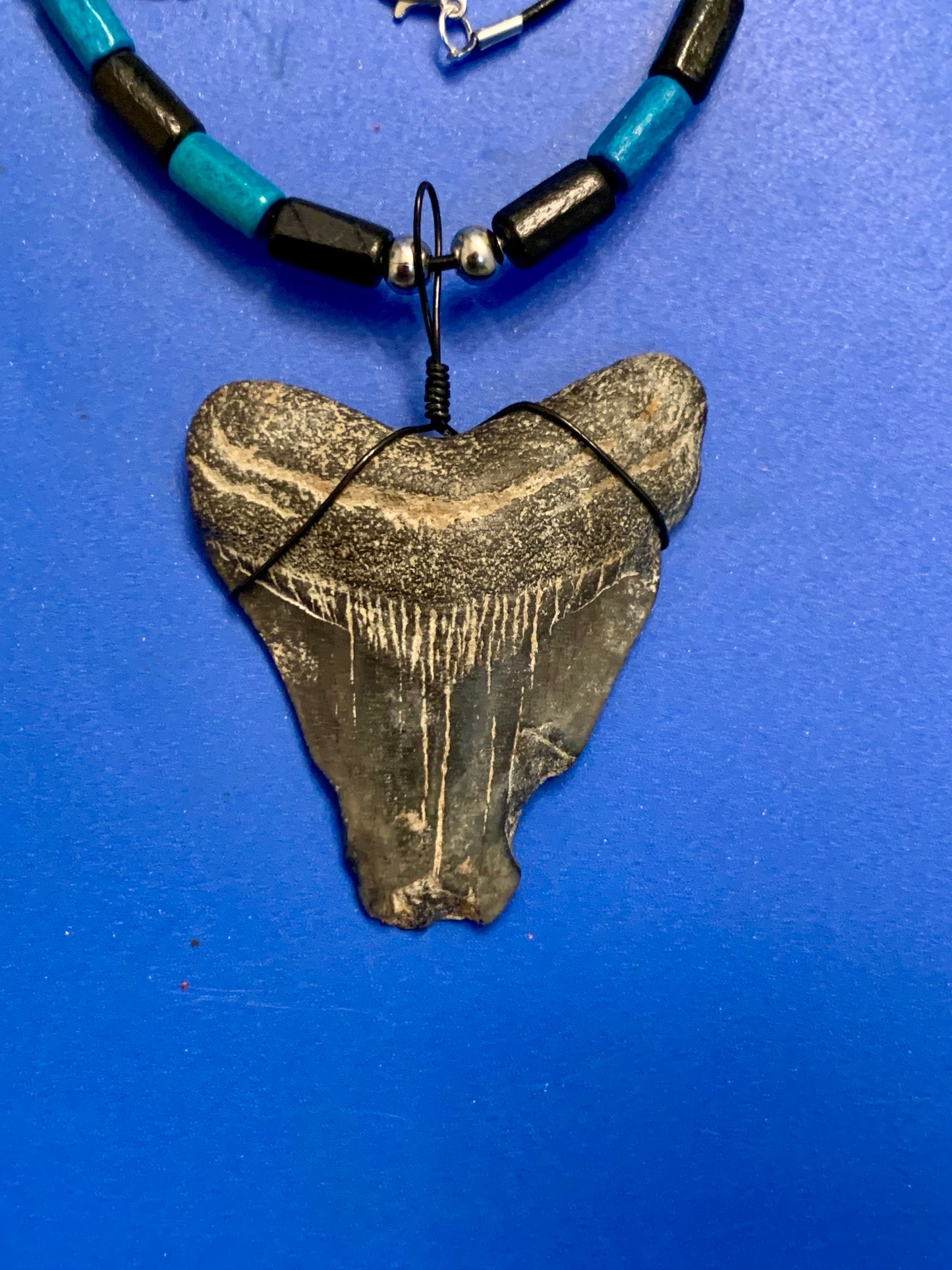 Real fossil megalodon shark tooth necklace on black cord, shark tooth pendant