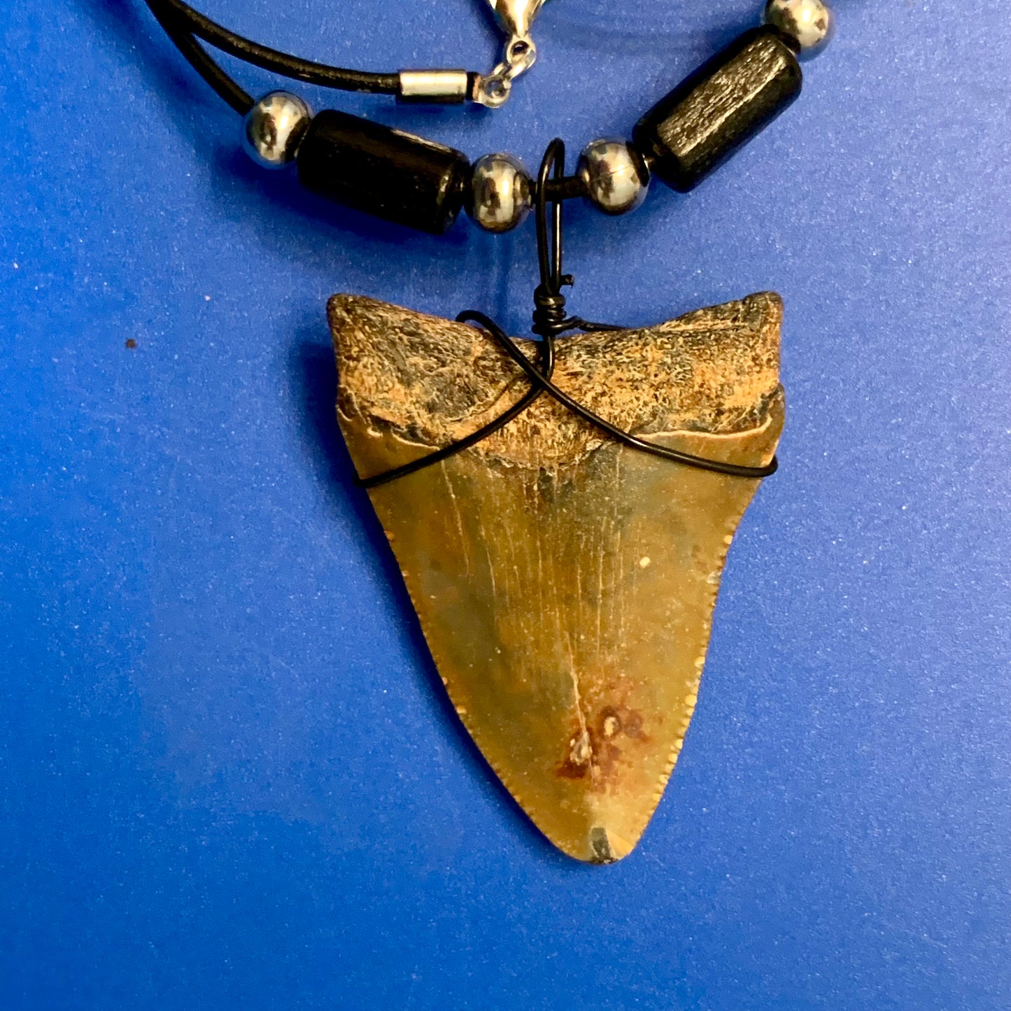 Real fossil megalodon shark tooth necklace on black cord, shark tooth pendant