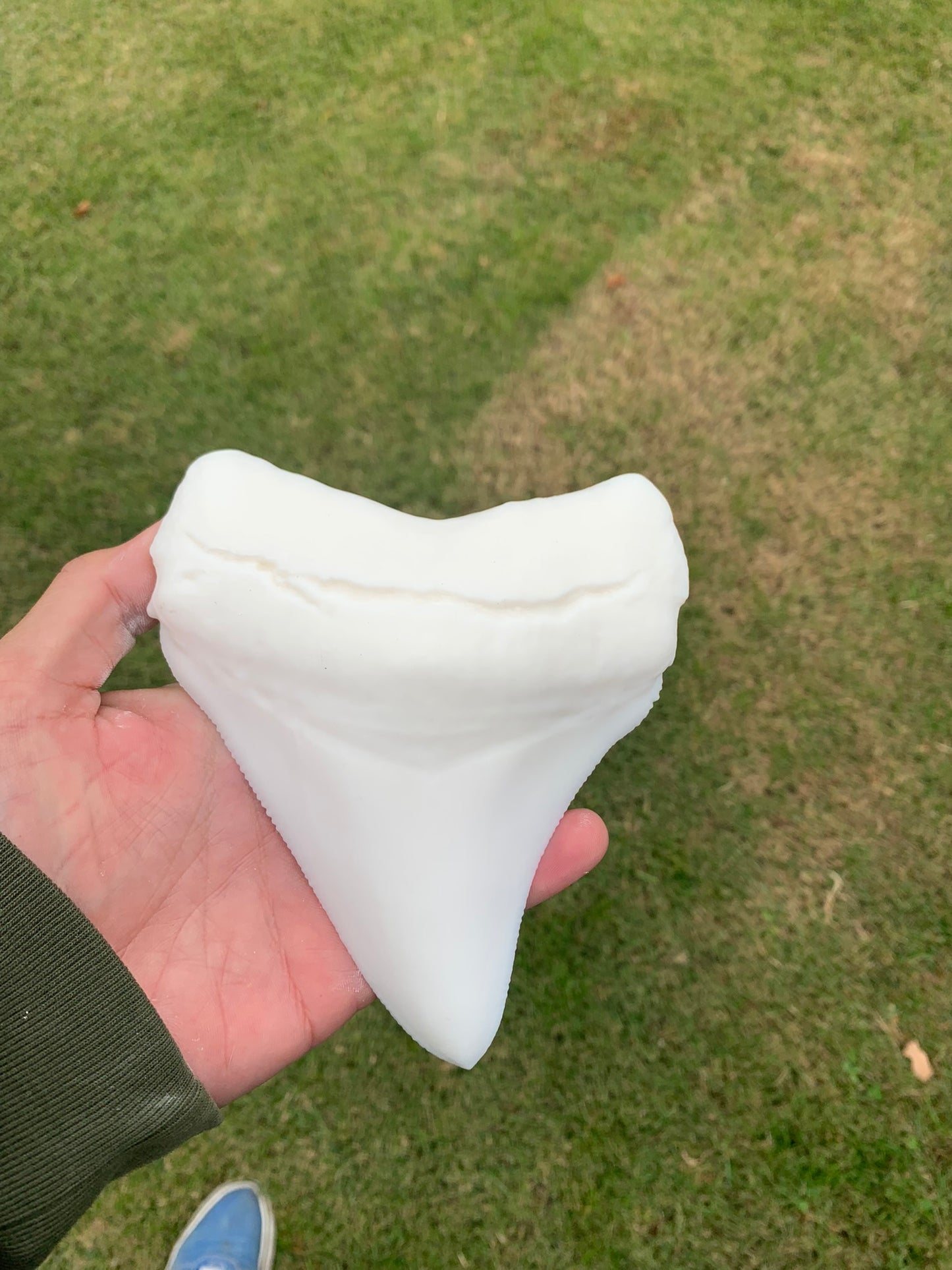 Paint Your Own Giant Megalodon Shark Tooth Replica - DIY Painting Kit for Kids STEM Homeschool Craft Activity