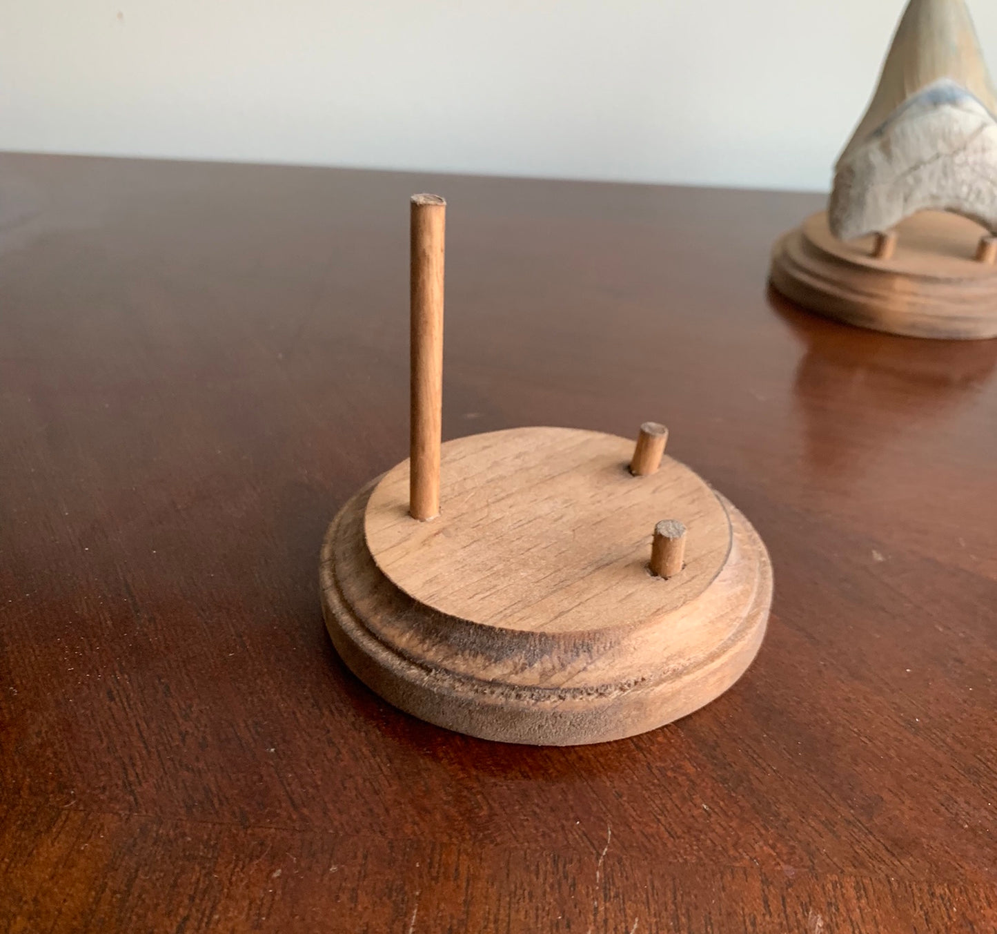 Megalodon Fossil Shark Tooth Stand. Round base -Stained Early American