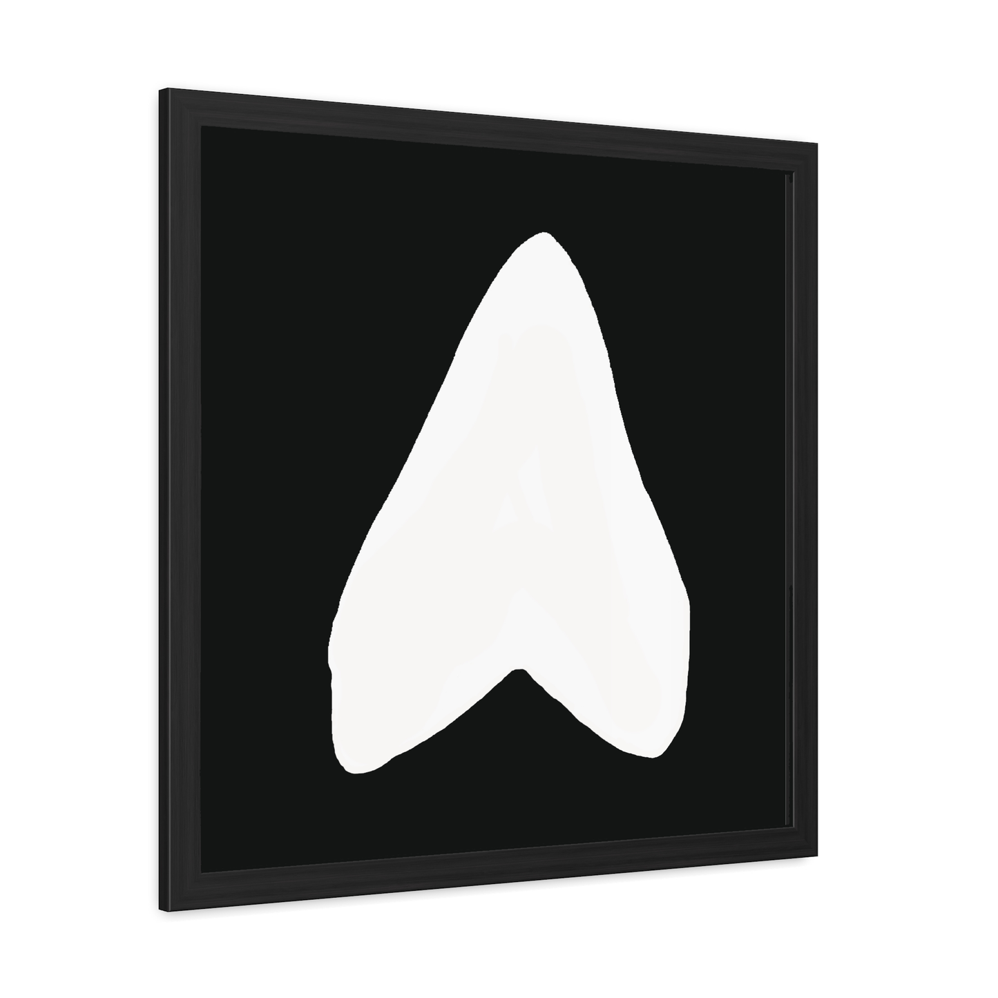 Black and White Otodus megalodon Fine Art Print Wall Décor, Beach Décor