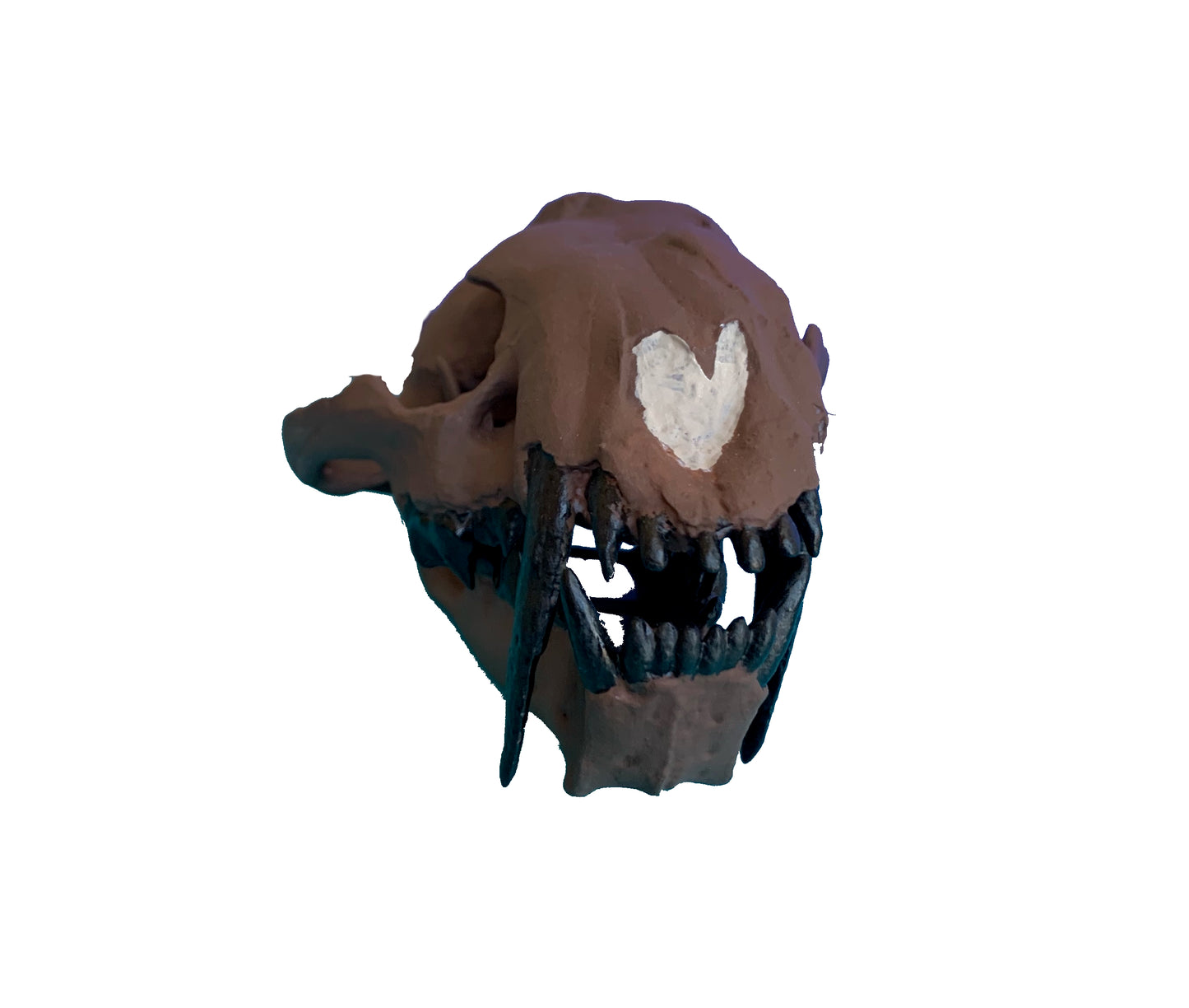 Juvenile Dinictis Felina skull false saber cat