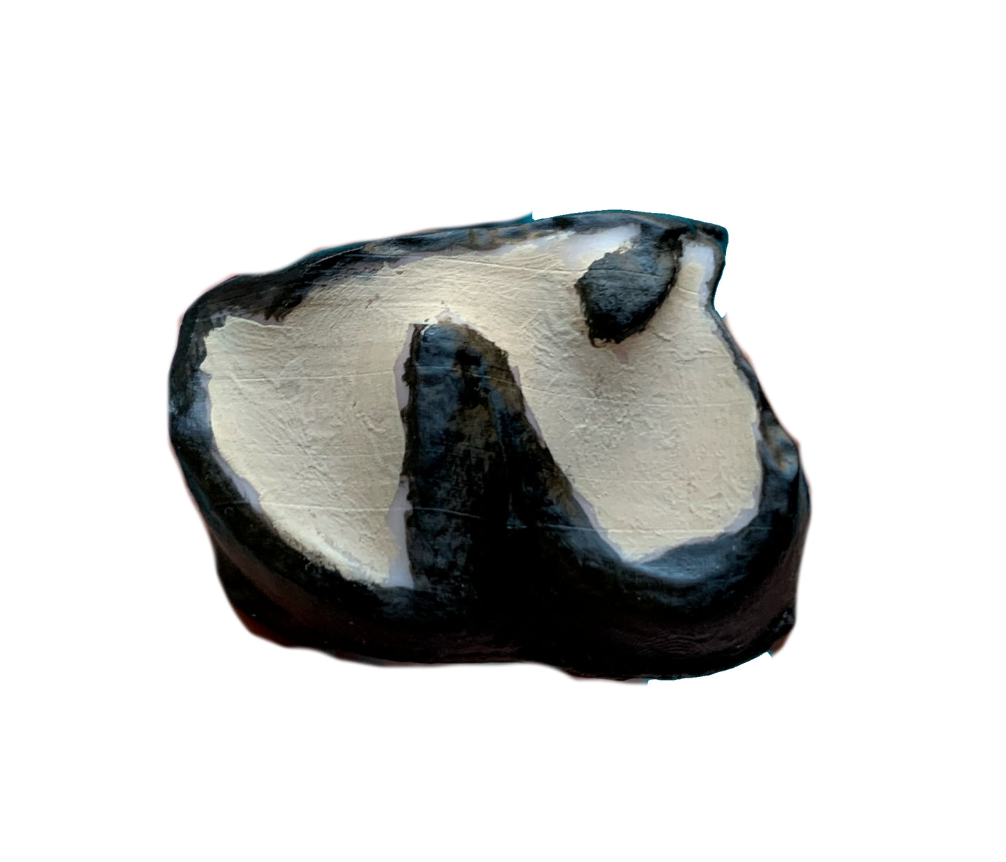 Set of titanothere teeth, canine incisor and molar