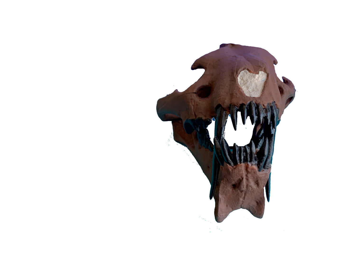 Hoplophoneus primaevus skull false saber cat