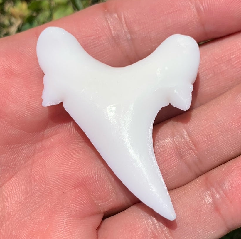 Paint Your Own Megalodon Ancestor (Otodus obliquus) Shark Tooth Replica - DIY Painting Kit for Kids STEM Homeschool Craft Activity