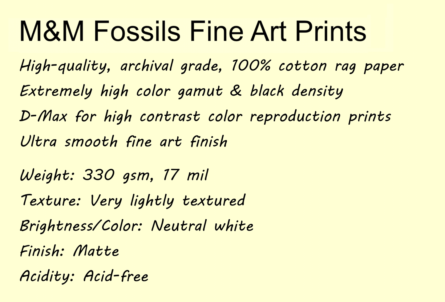 Hoplophoneus primaevus Fossil Saber Cat Fine Art Print Wall Décor