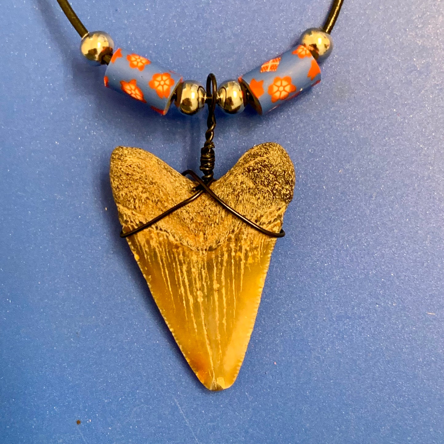 Real fossil megalodon shark tooth necklace on black cord, shark tooth pendant