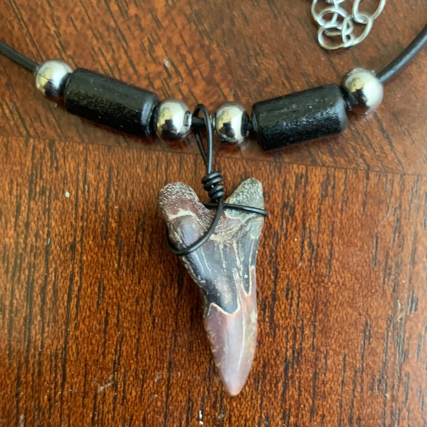 Real fossil Hemipristis serra, snaggle shark tooth necklace on black cord, shark tooth pendant