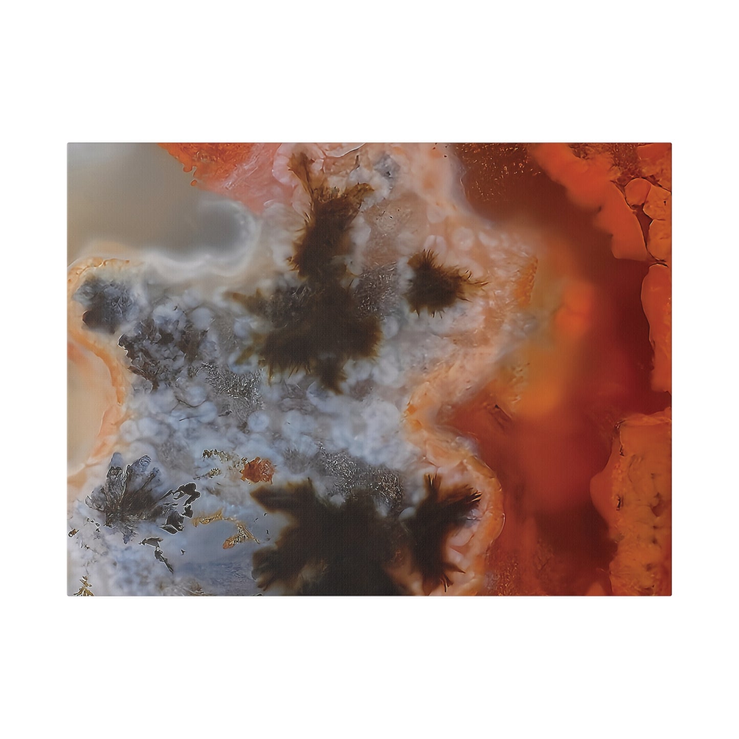 Texas Plume Agate  Canvas Print Wall Art Décor