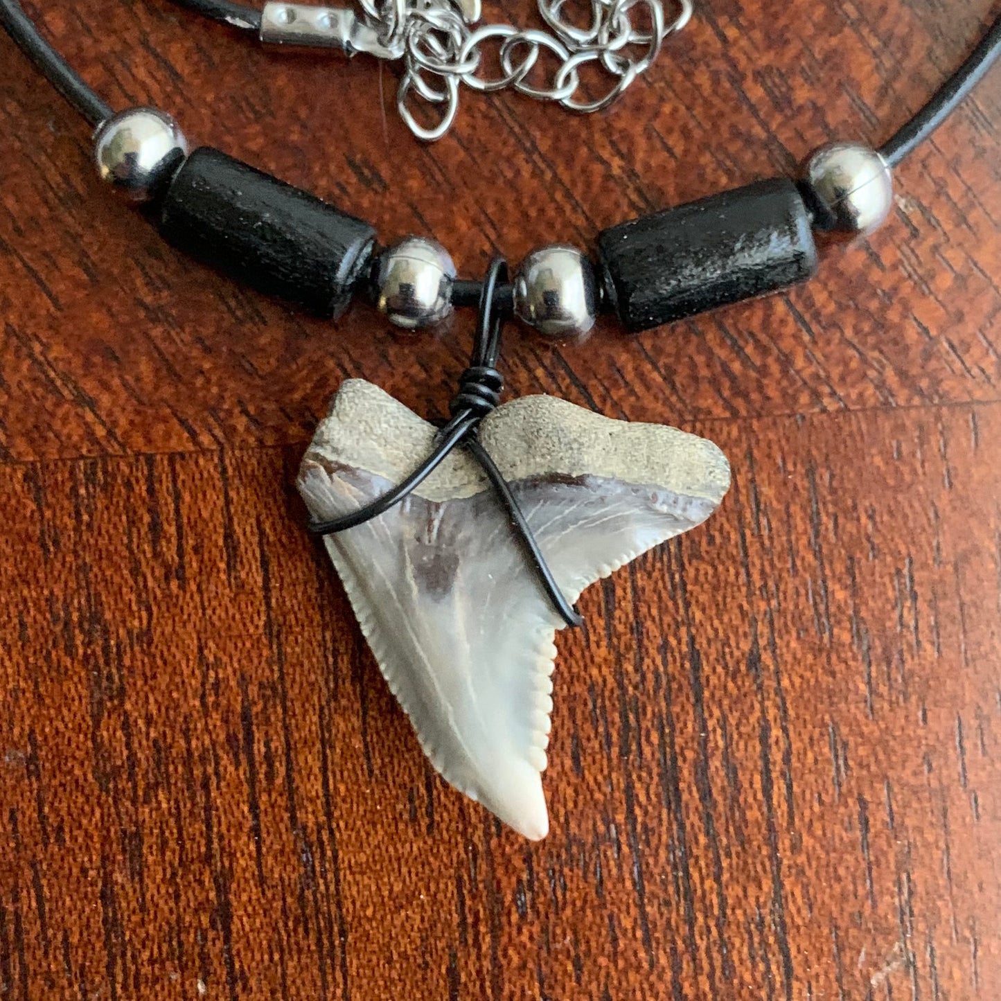 Real fossil Hemipristis serra, snaggle shark tooth necklace on black cord, shark tooth pendant