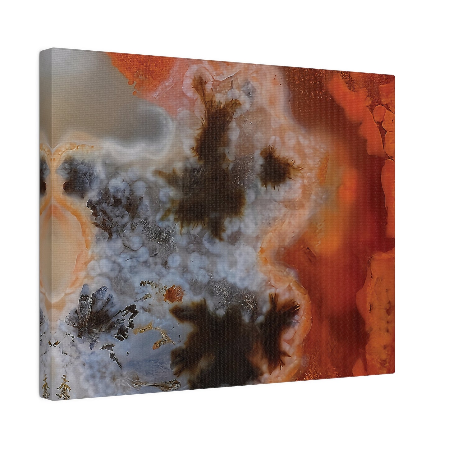 Texas Plume Agate  Canvas Print Wall Art Décor