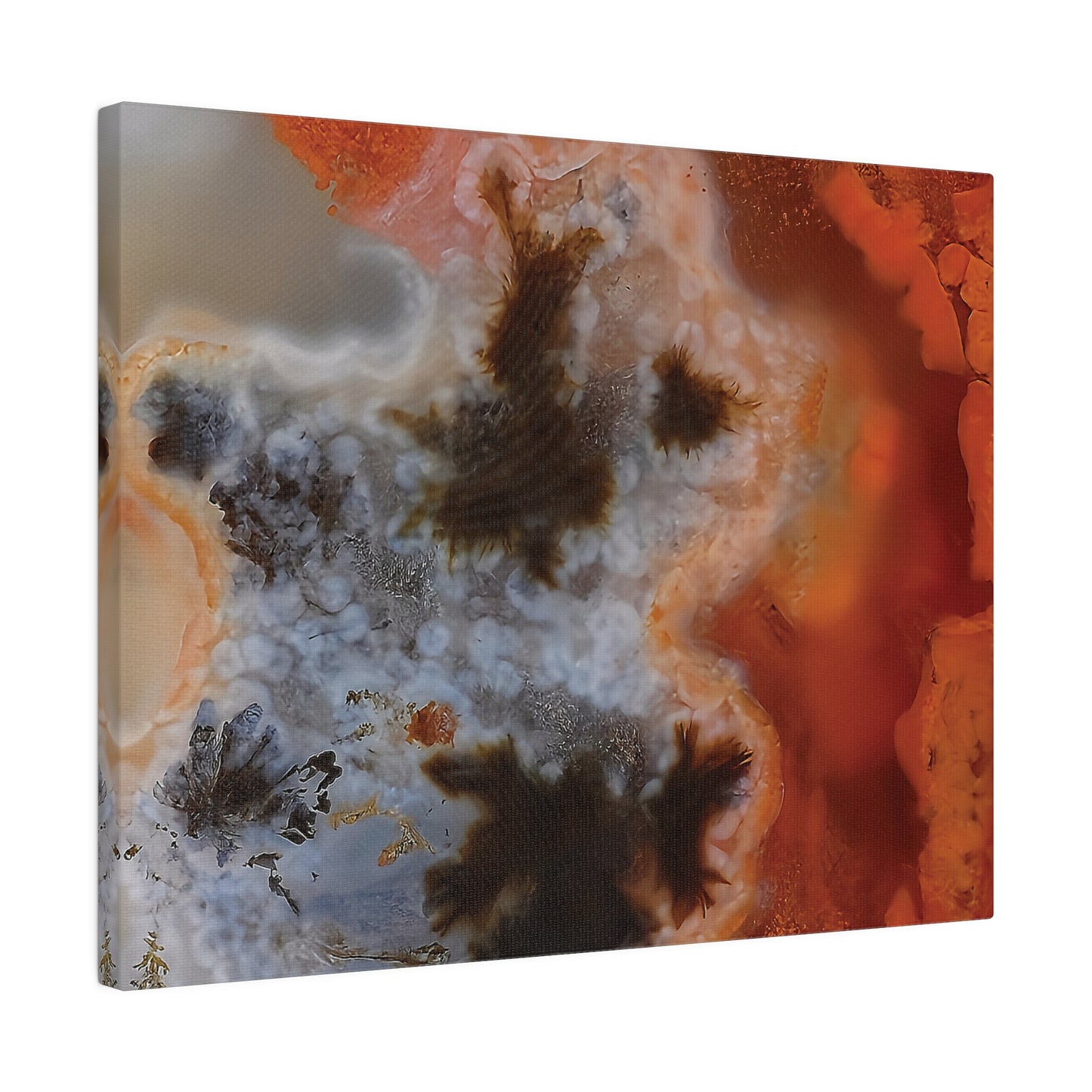 Texas Plume Agate  Canvas Print Wall Art Décor