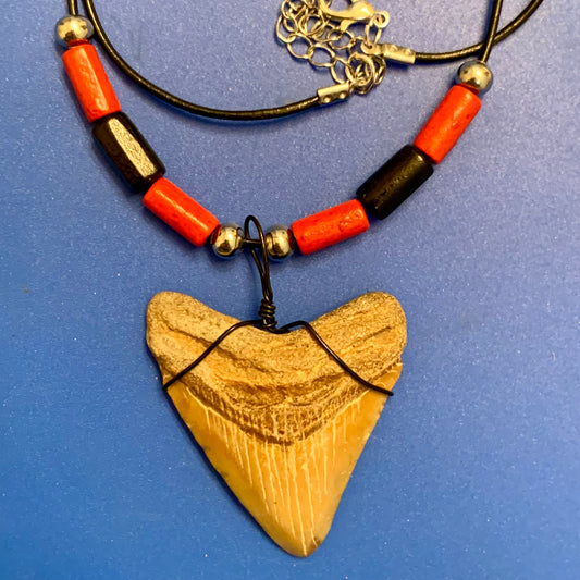 Real shark tooth necklace made from a fossil megalodon shark tooth pendant wrapped with black wire, hung on a black cotton cord with colorful beads