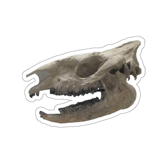 Subhyracodon occidentalis - Fossil Rhino Skull Sticker